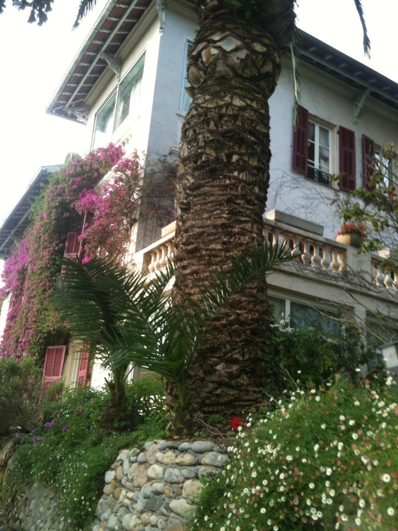 Photo 47