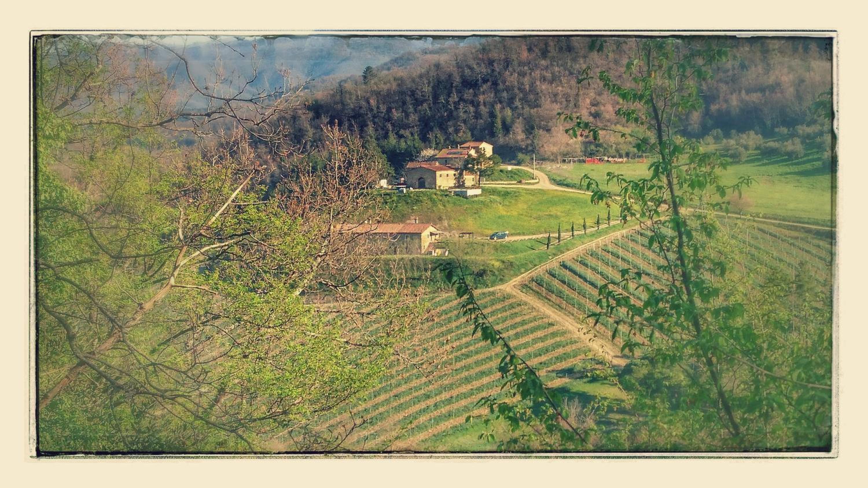 Borgo Macereto view 2