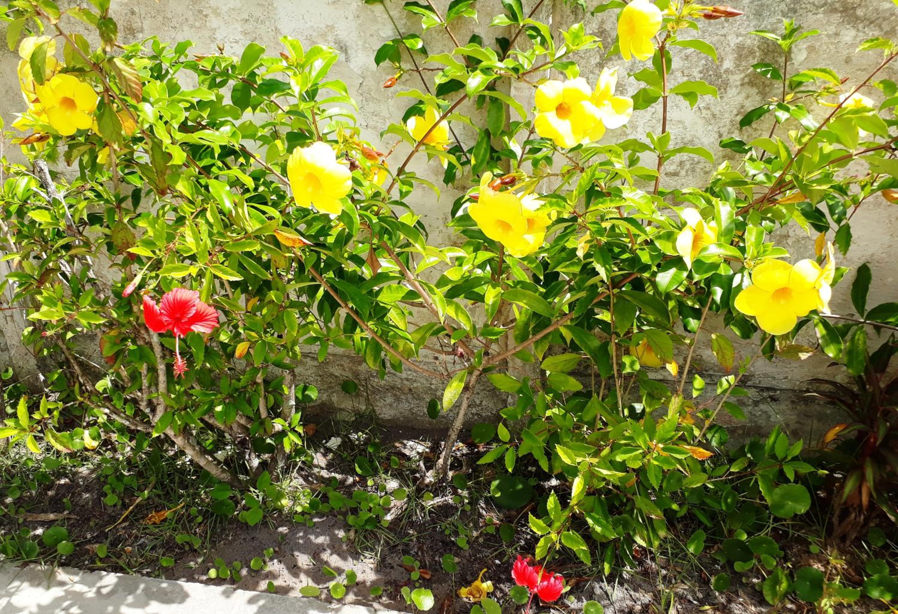 Pousada Canto da Ilha