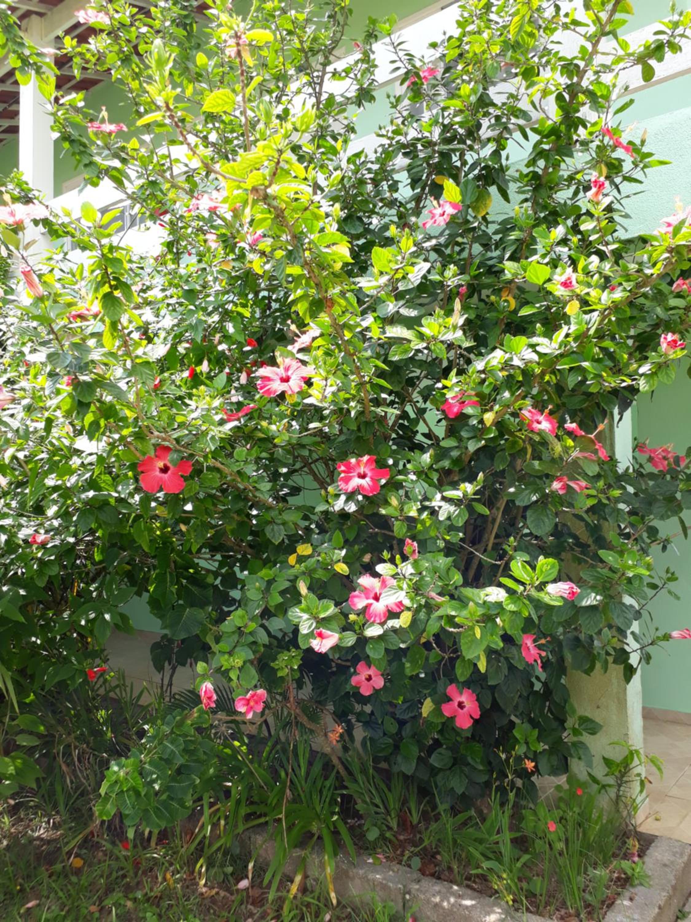 Pousada Canto da Ilha