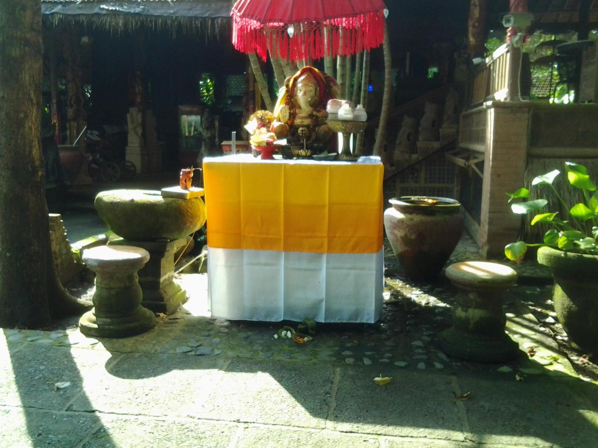 Photo 12