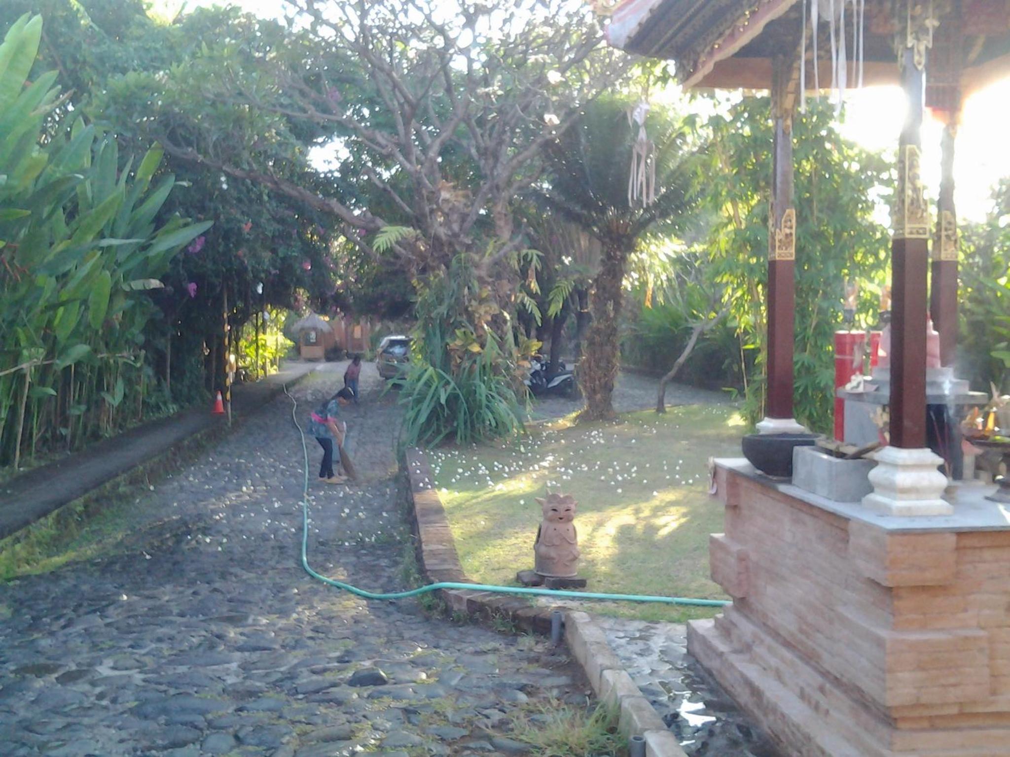 Photo 11