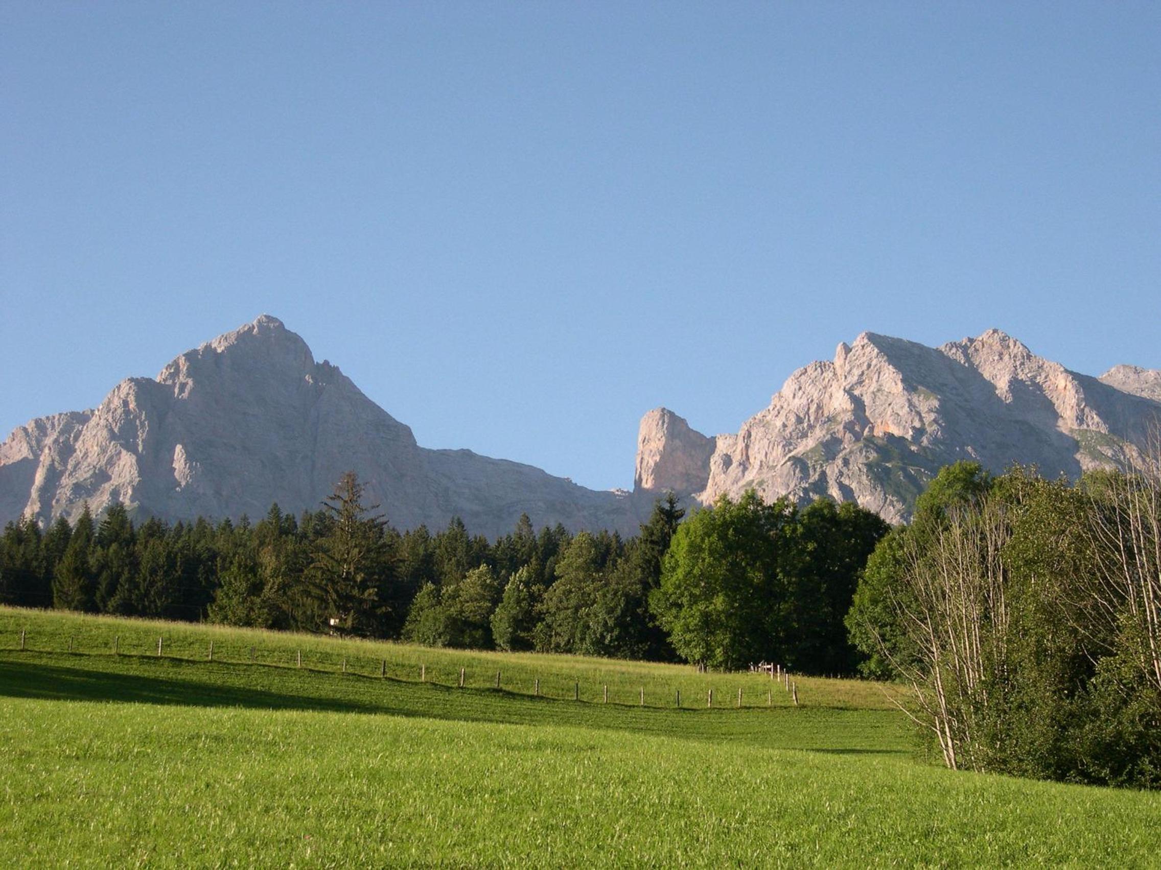 Feriennest Leitner