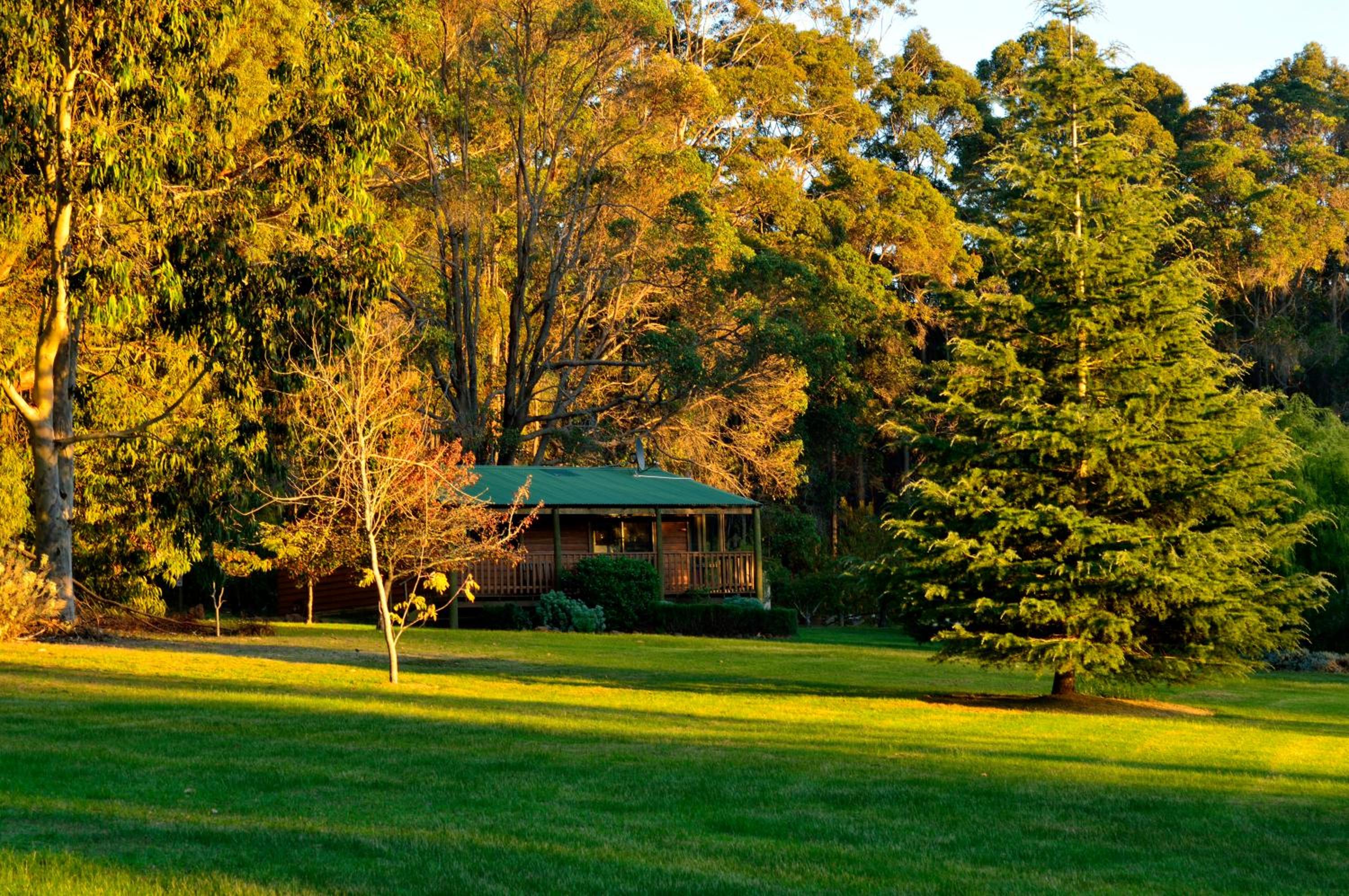 Diamond Forest Farm Stay