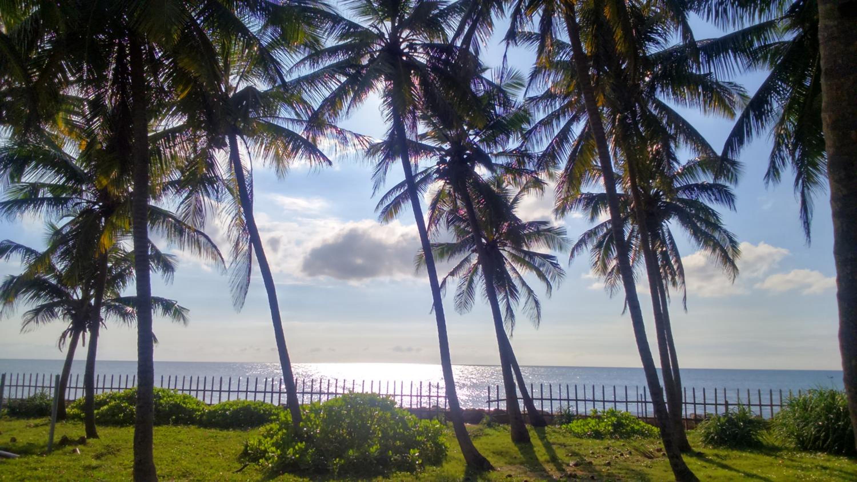Sri Beach Bungalows And Villa