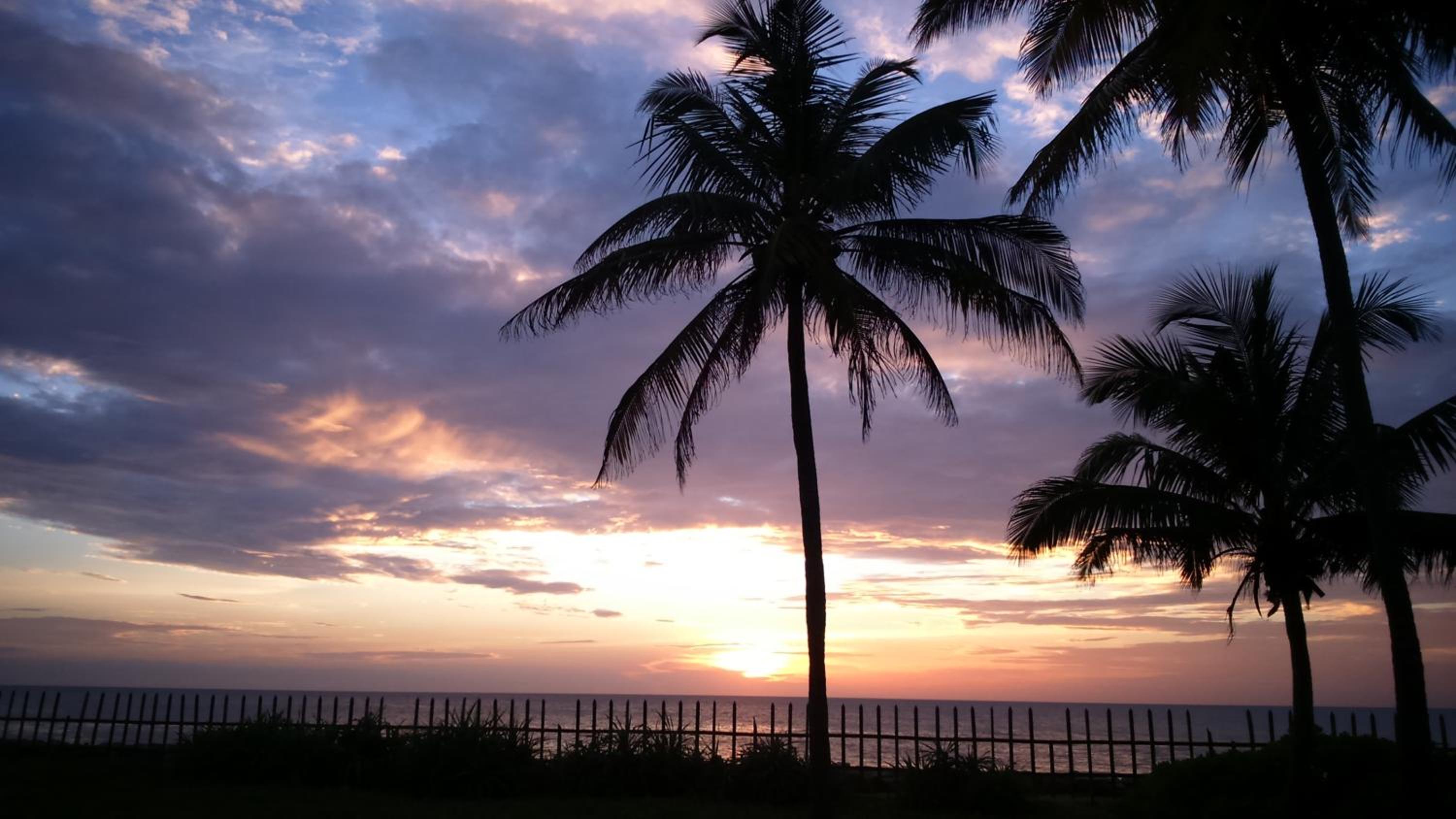 Sri Beach Bungalows And Villa