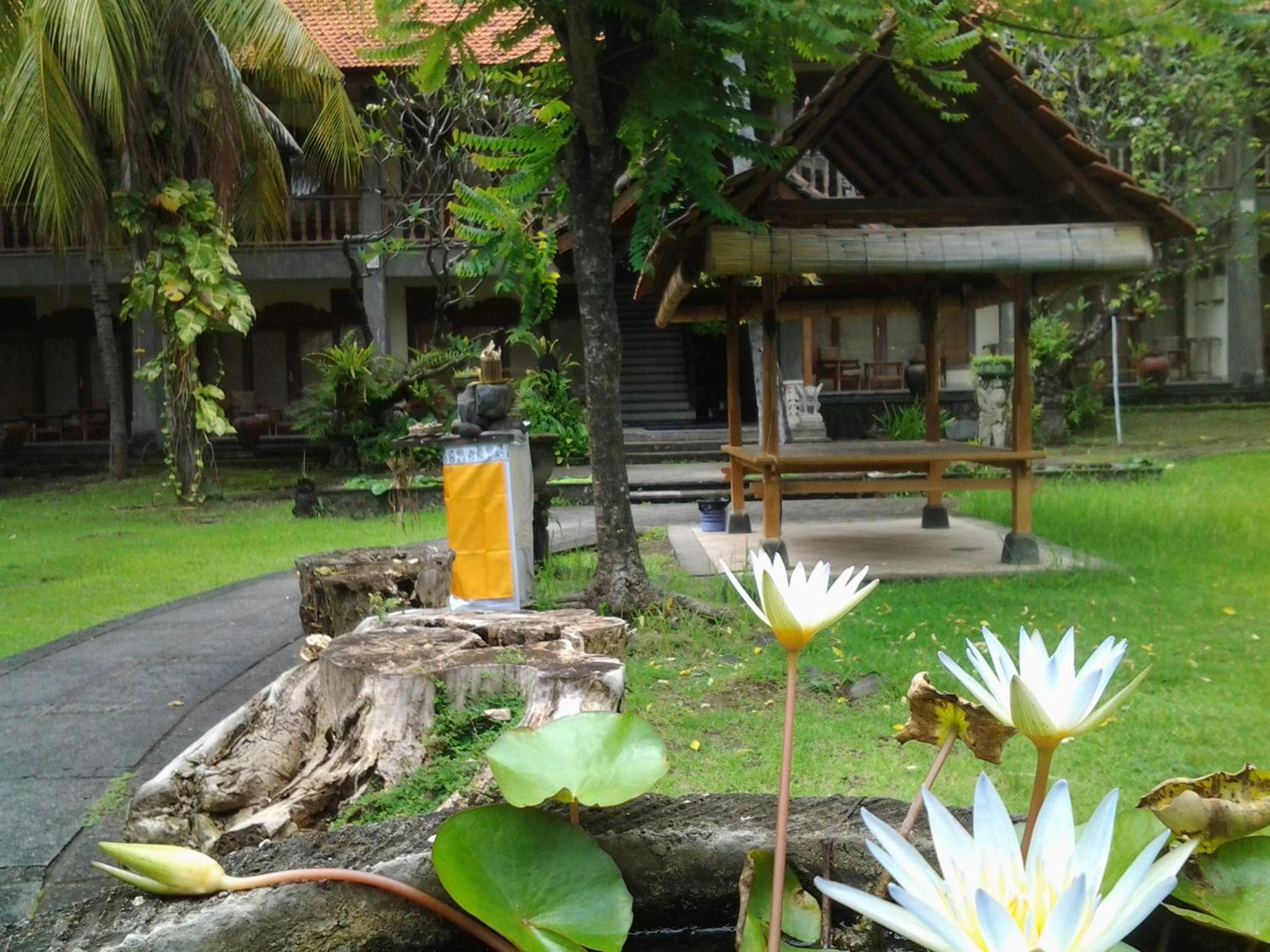 Photo 10