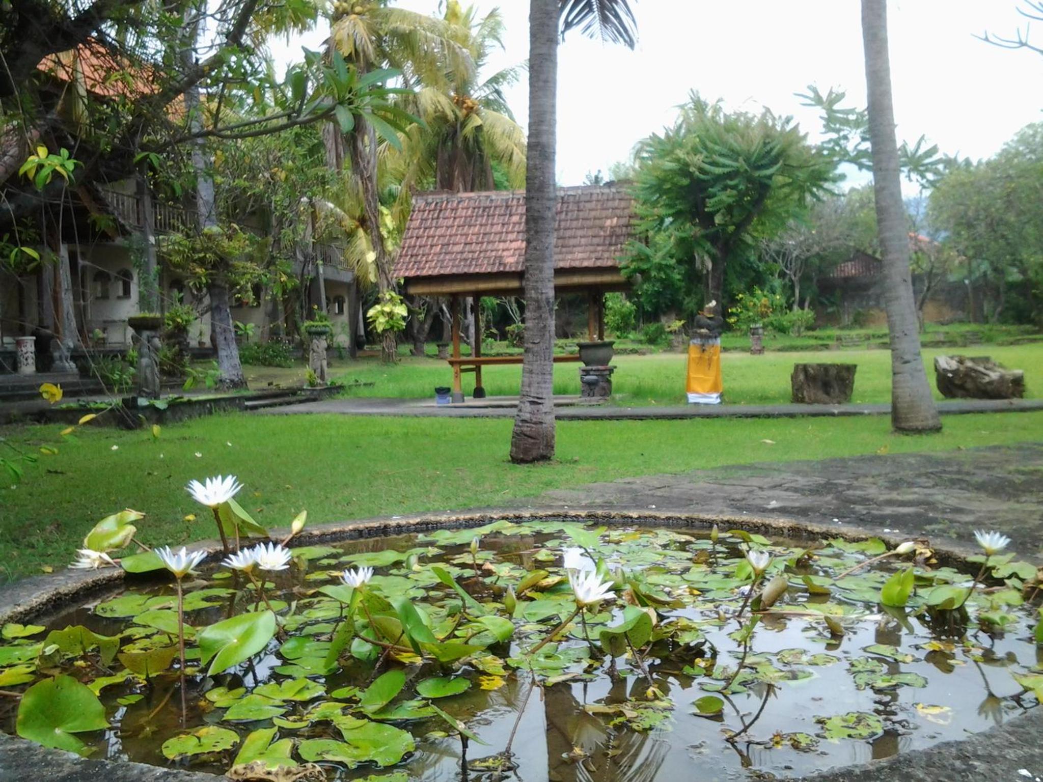 Hotel SeaSide lovina view 5
