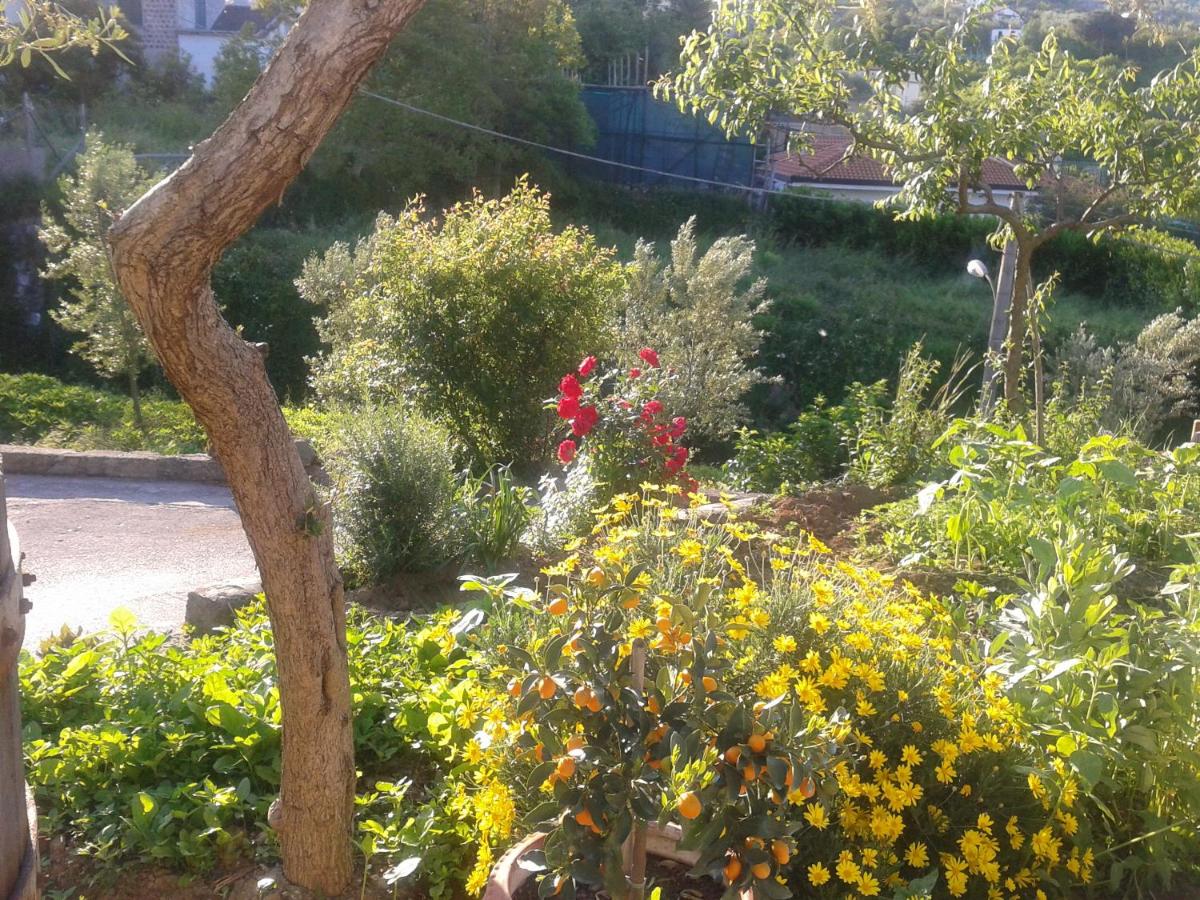 Photo 32