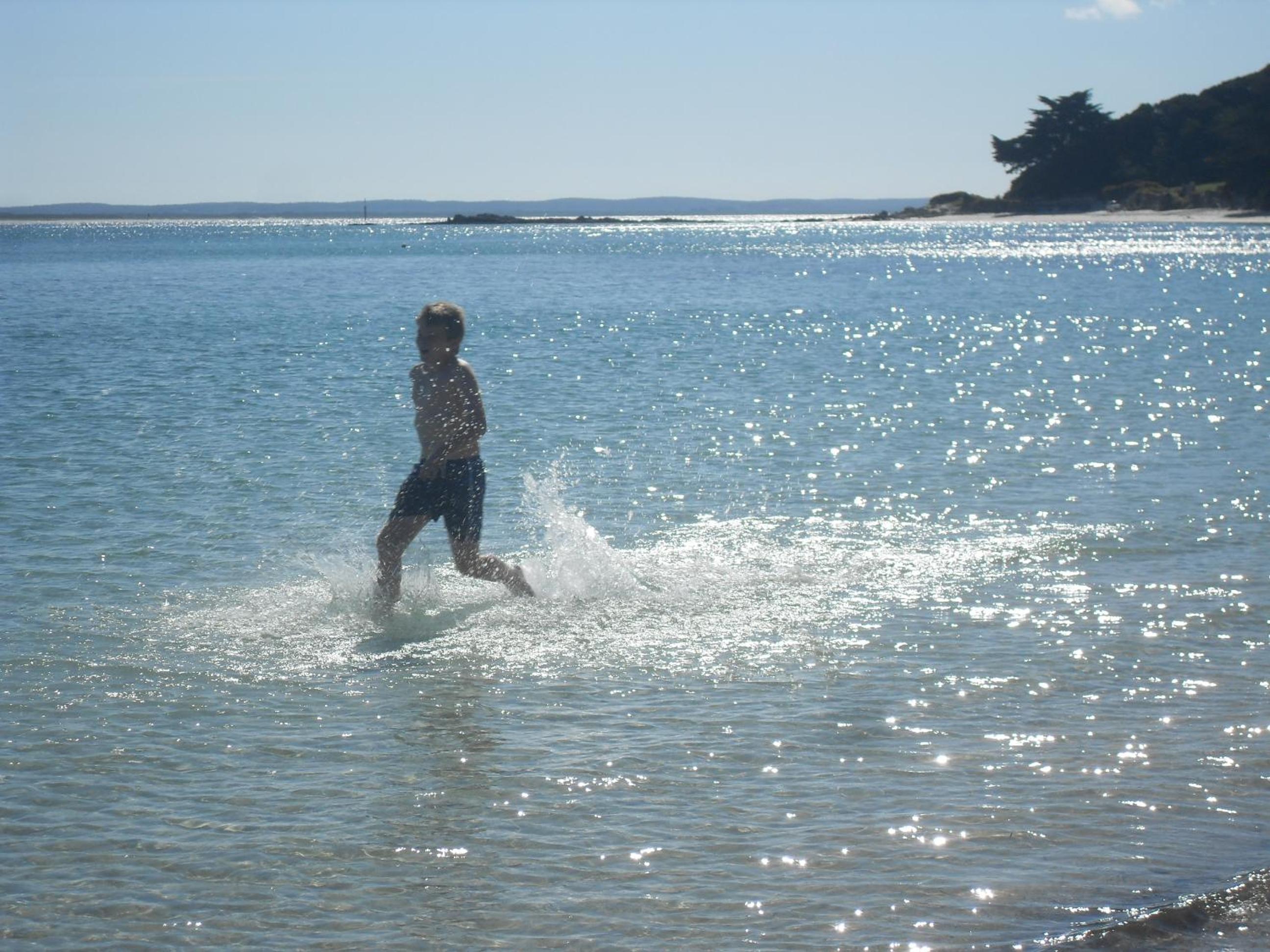 Photo 11