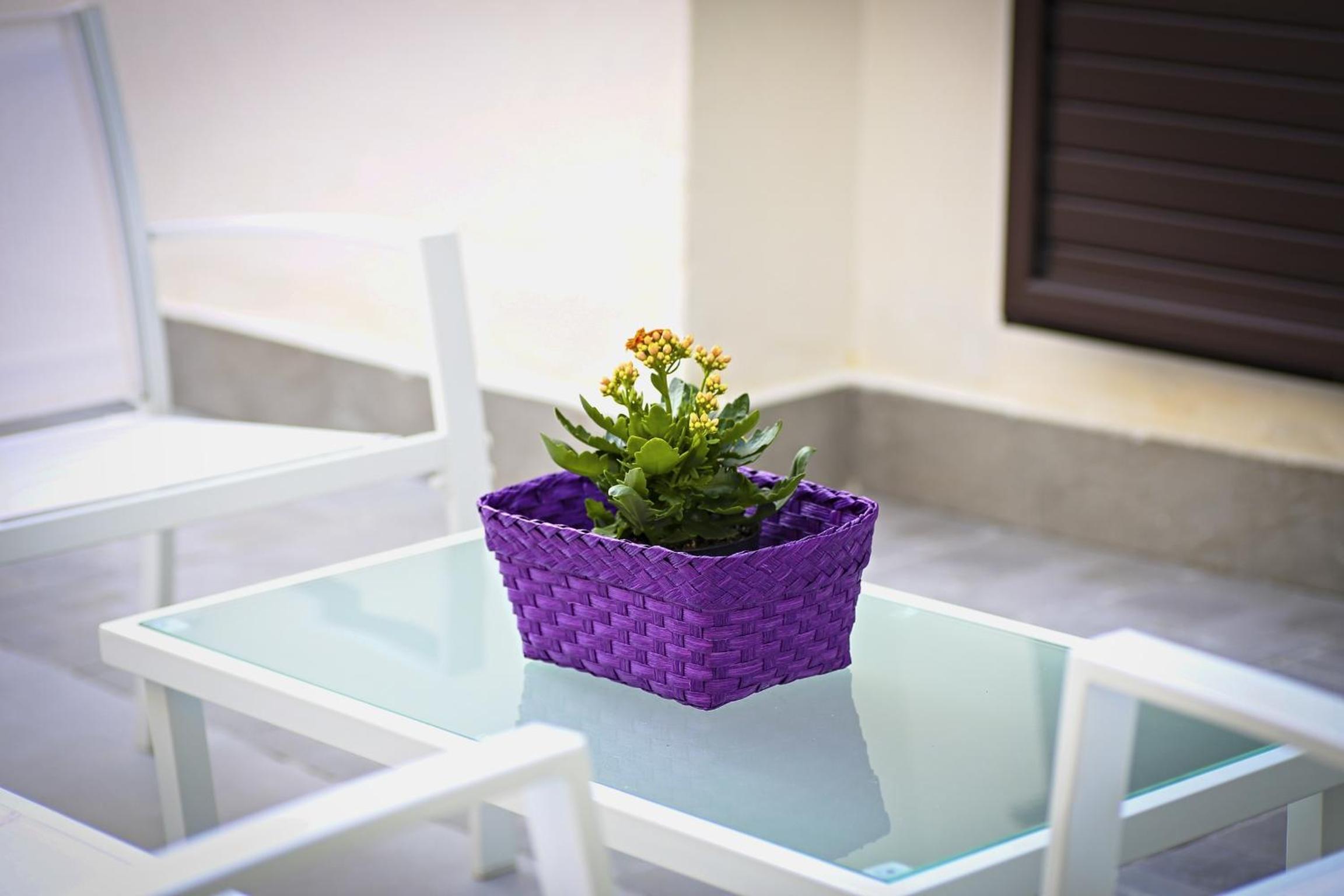 B&B Solarium