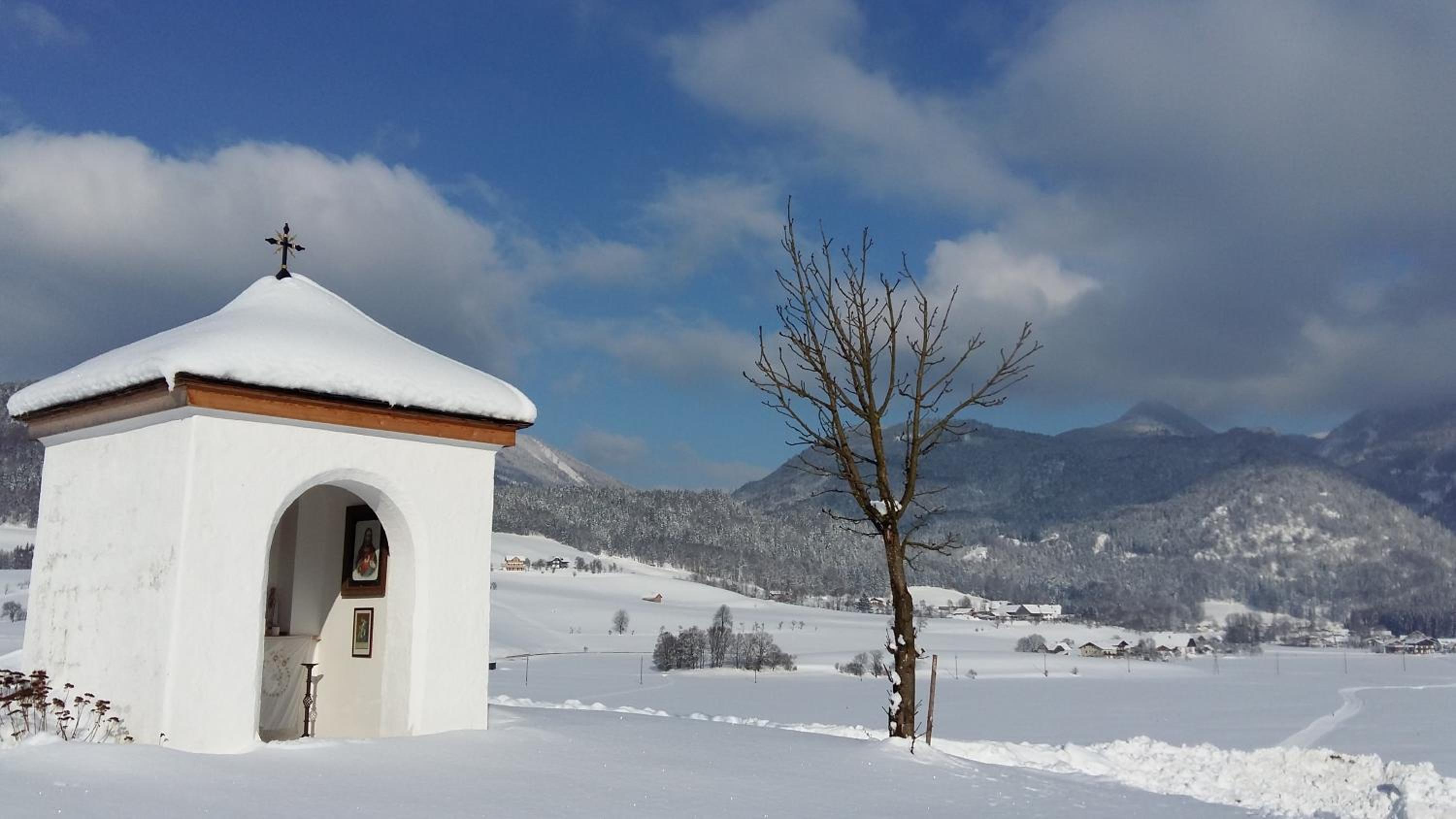 Weinbachbauer - Urlaub am Bauernhof
