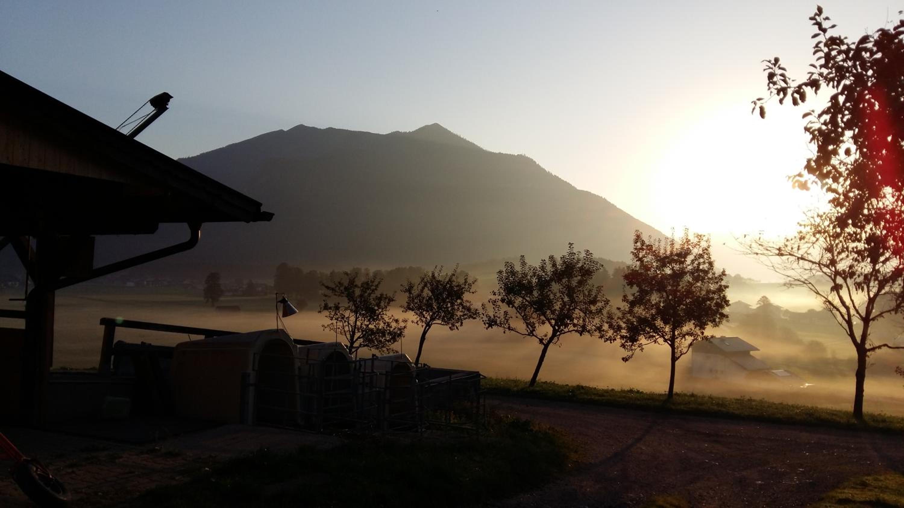 Weinbachbauer - Urlaub am Bauernhof