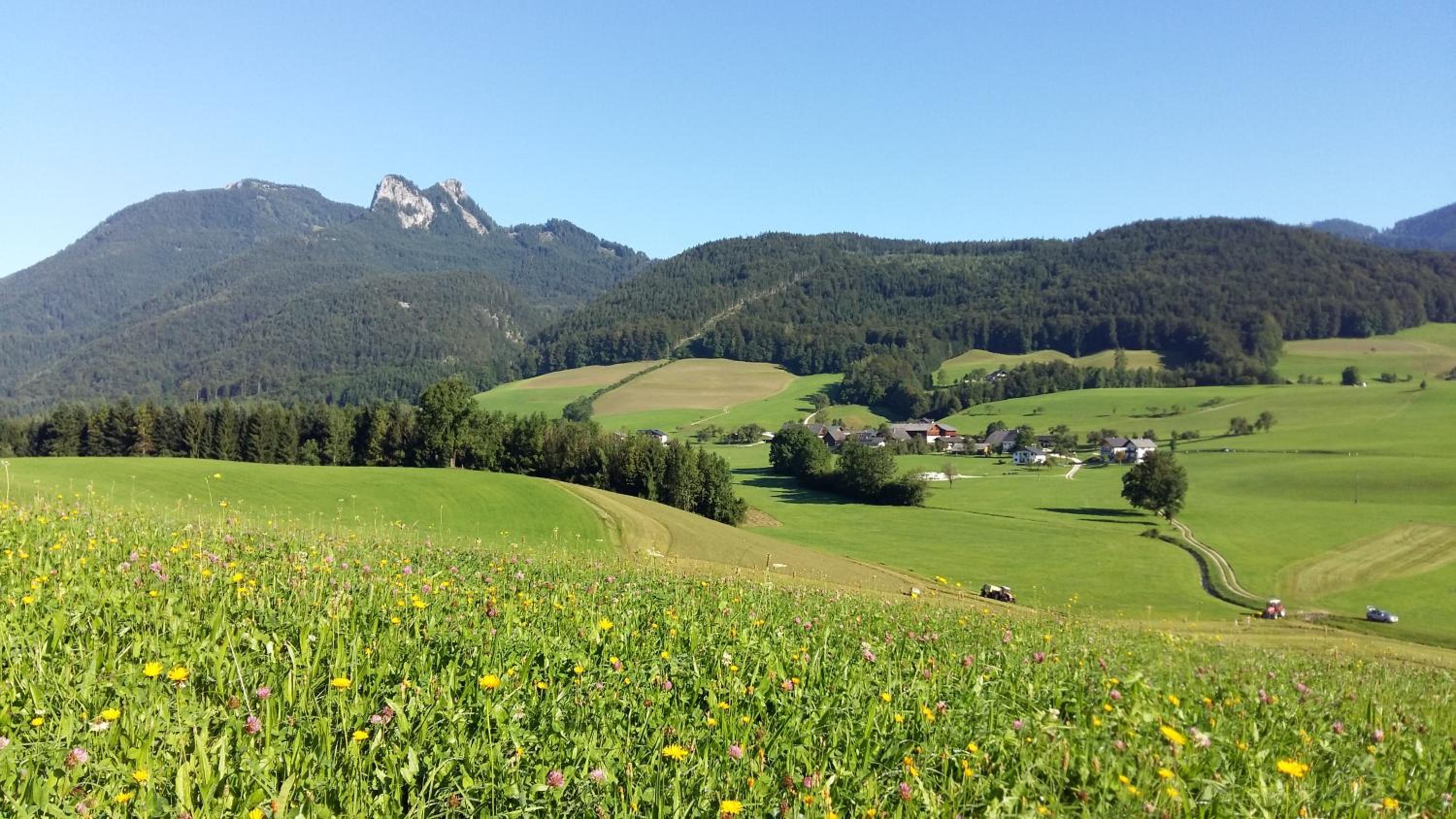 Weinbachbauer - Urlaub am Bauernhof