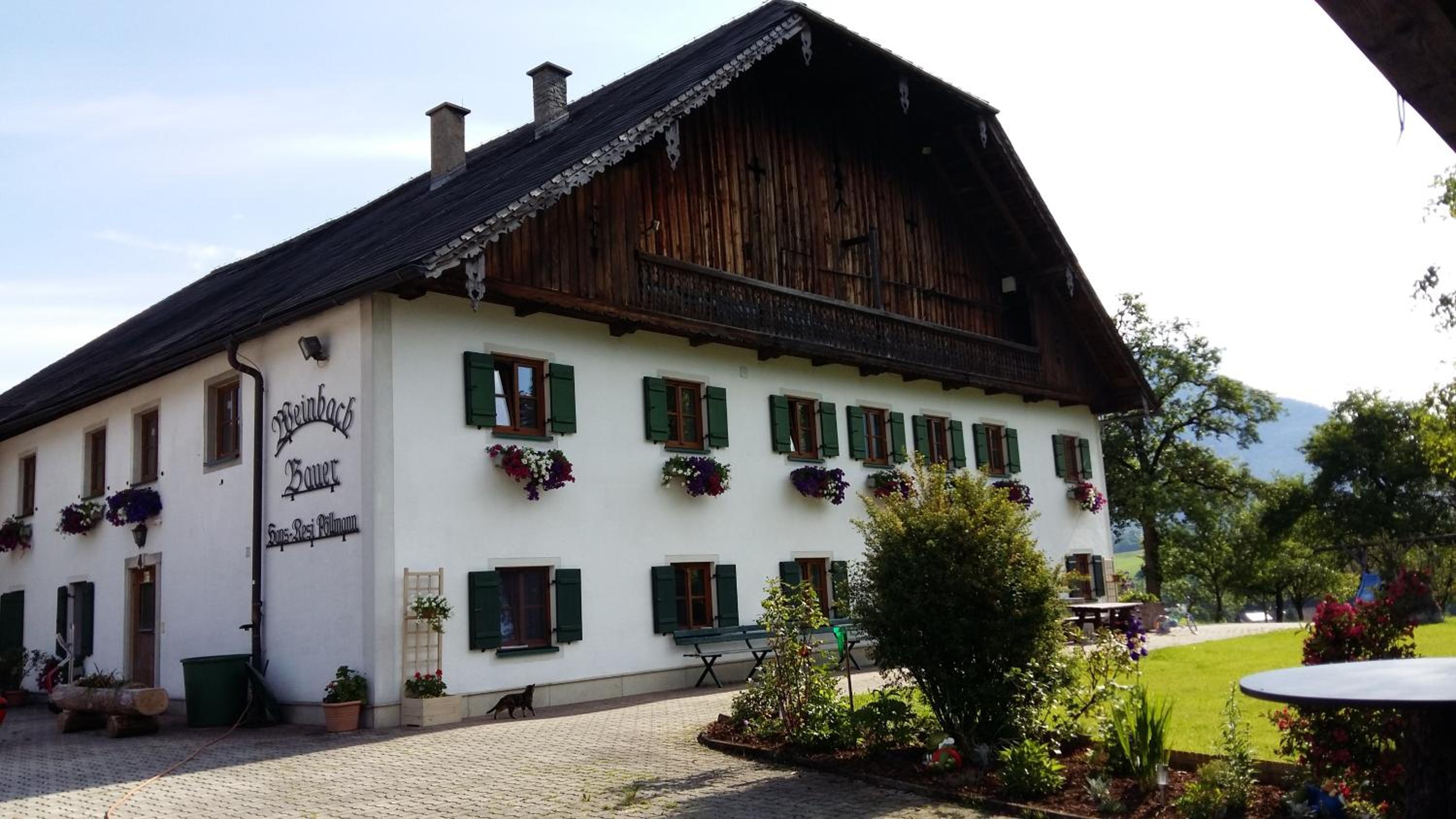 Weinbachbauer - Urlaub am Bauernhof