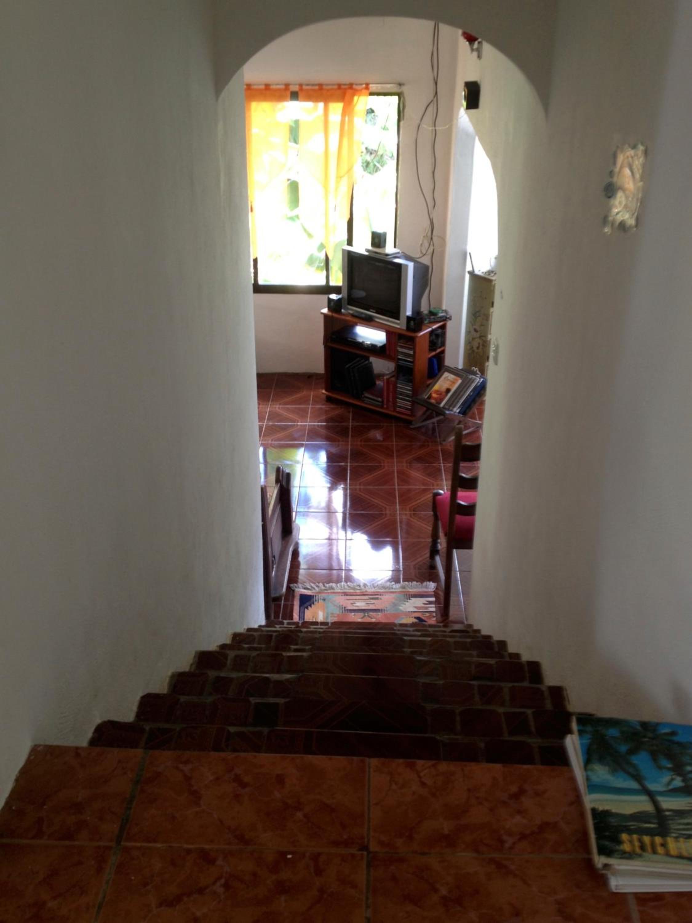 Papaya Guesthouse photo 3