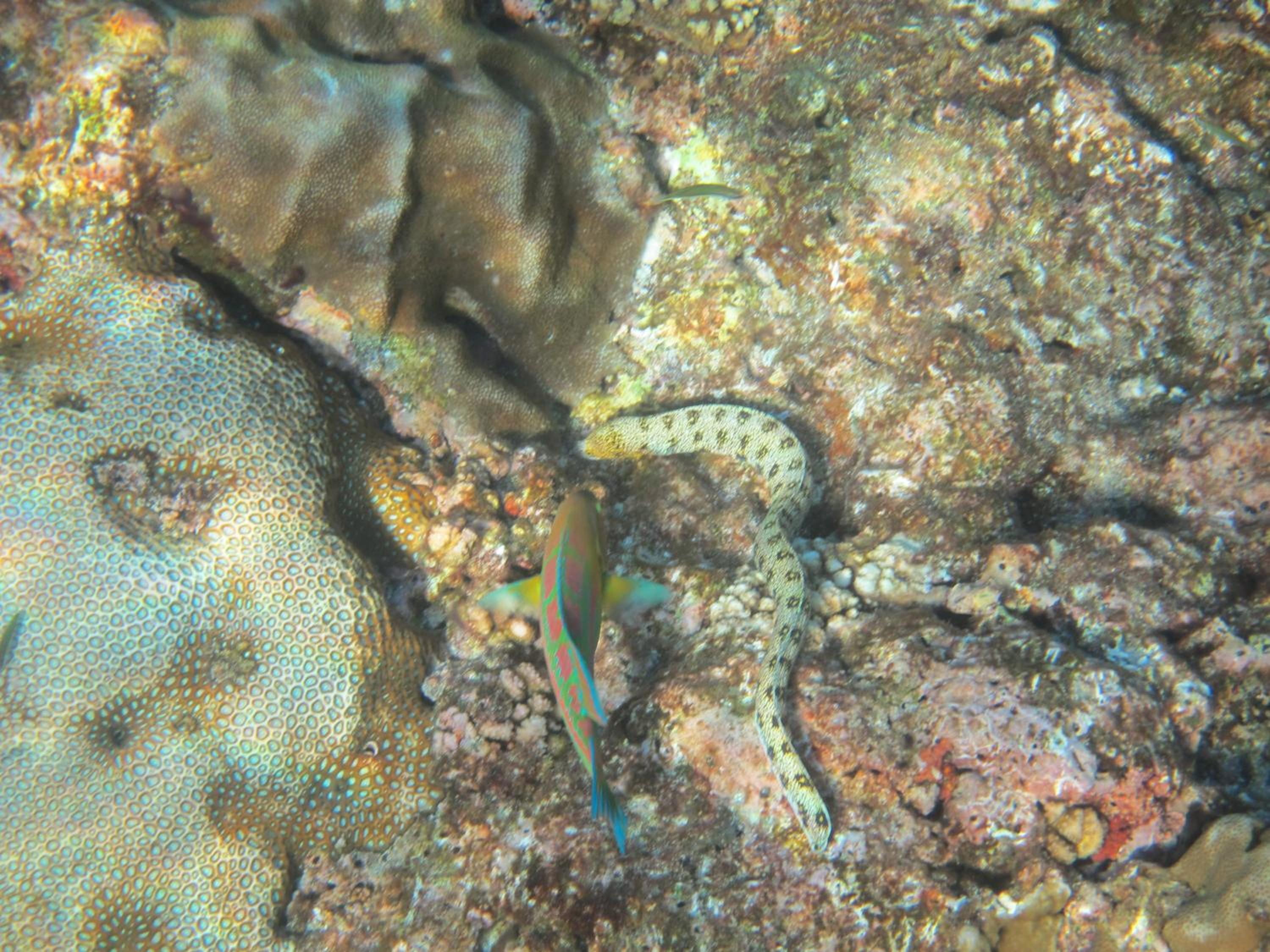 Photo 20