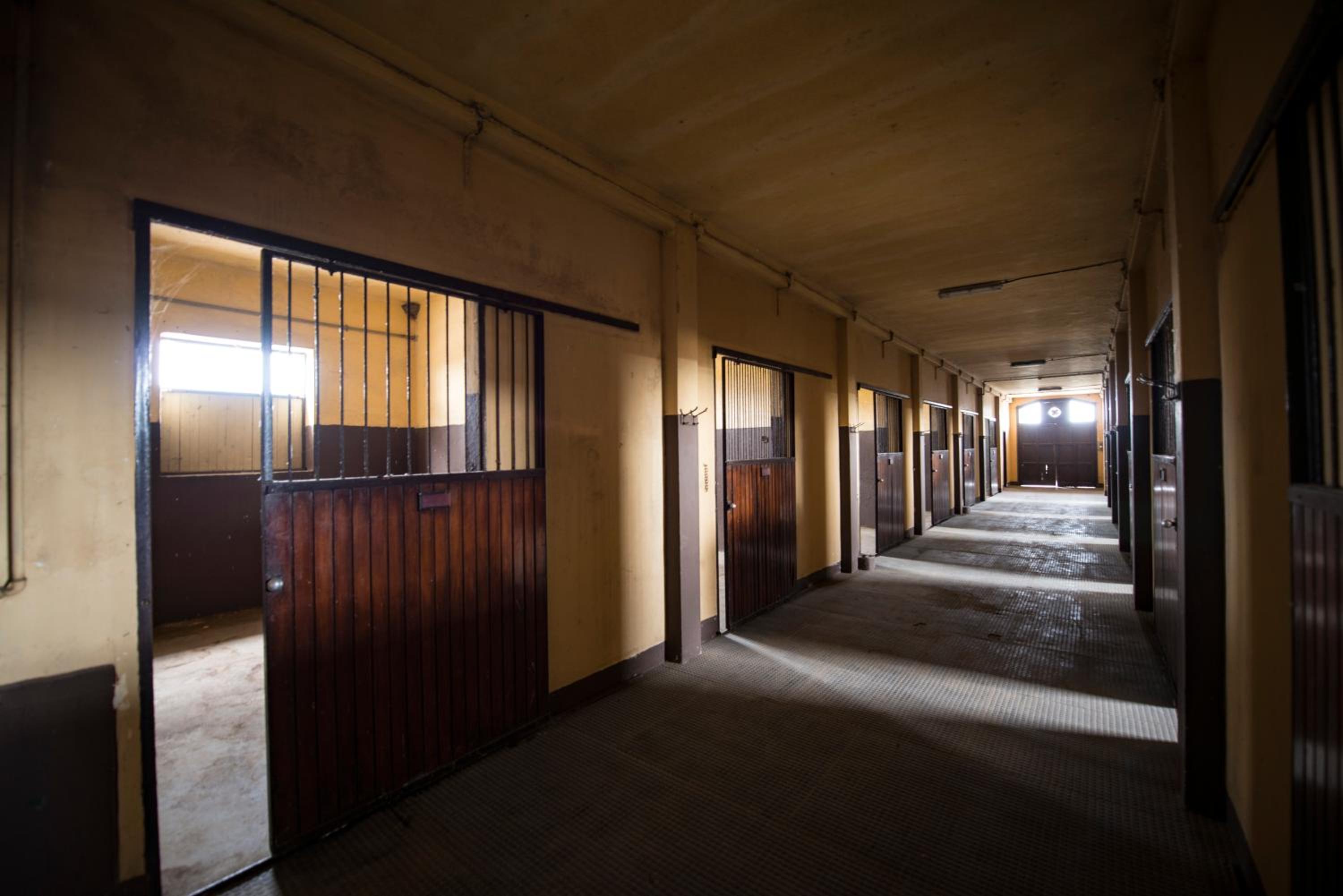 Agriturismo Tenuta 