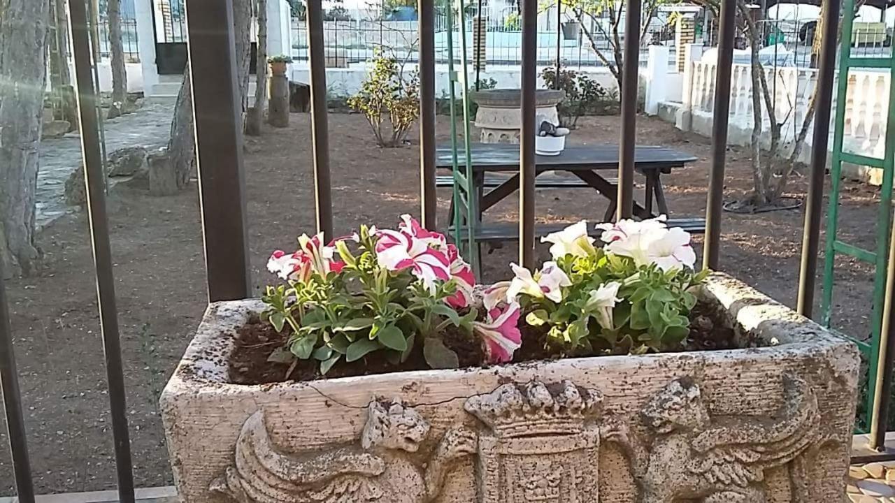 Photo 46