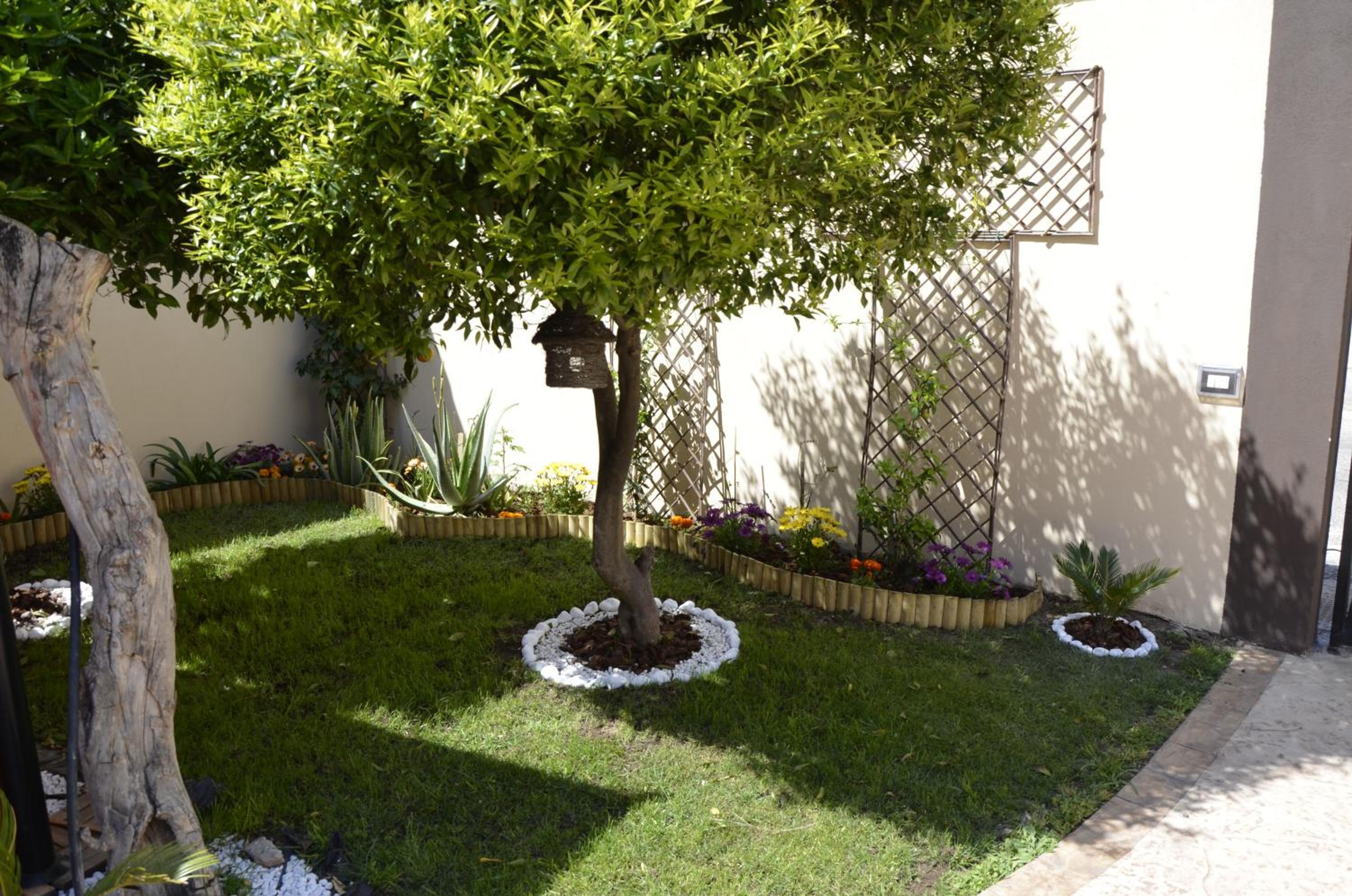 Photo 39
