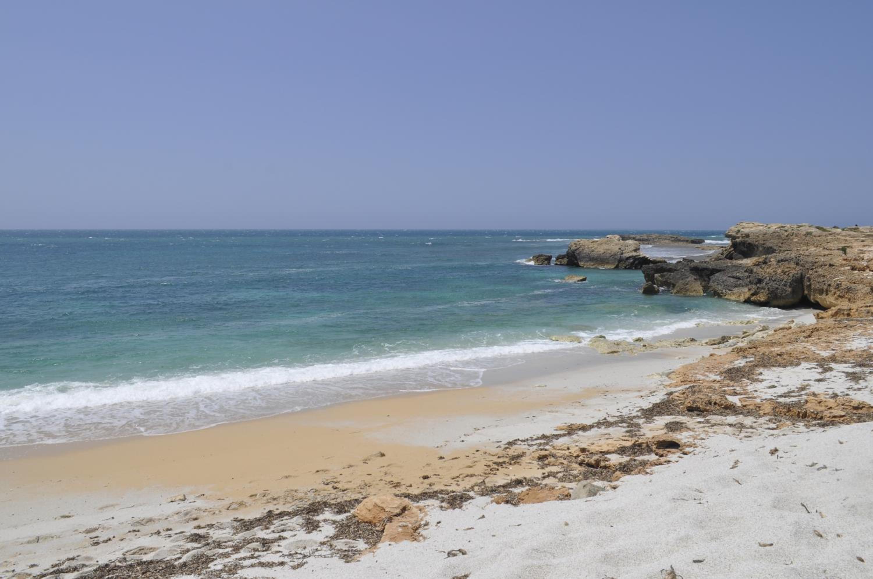 Photo 45