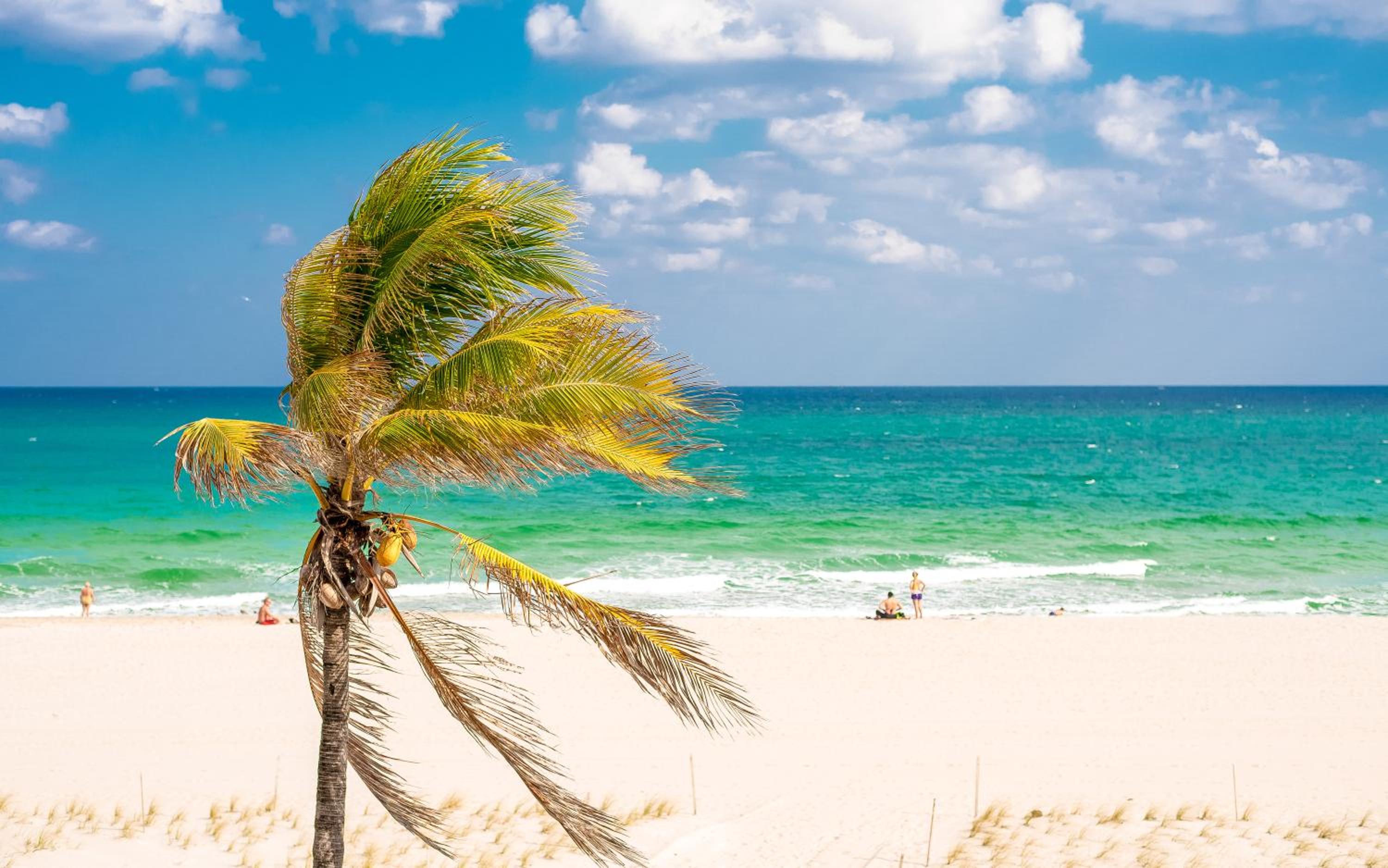Fort Lauderdale Vacations - Plunge Beach Resort - Property Image 5