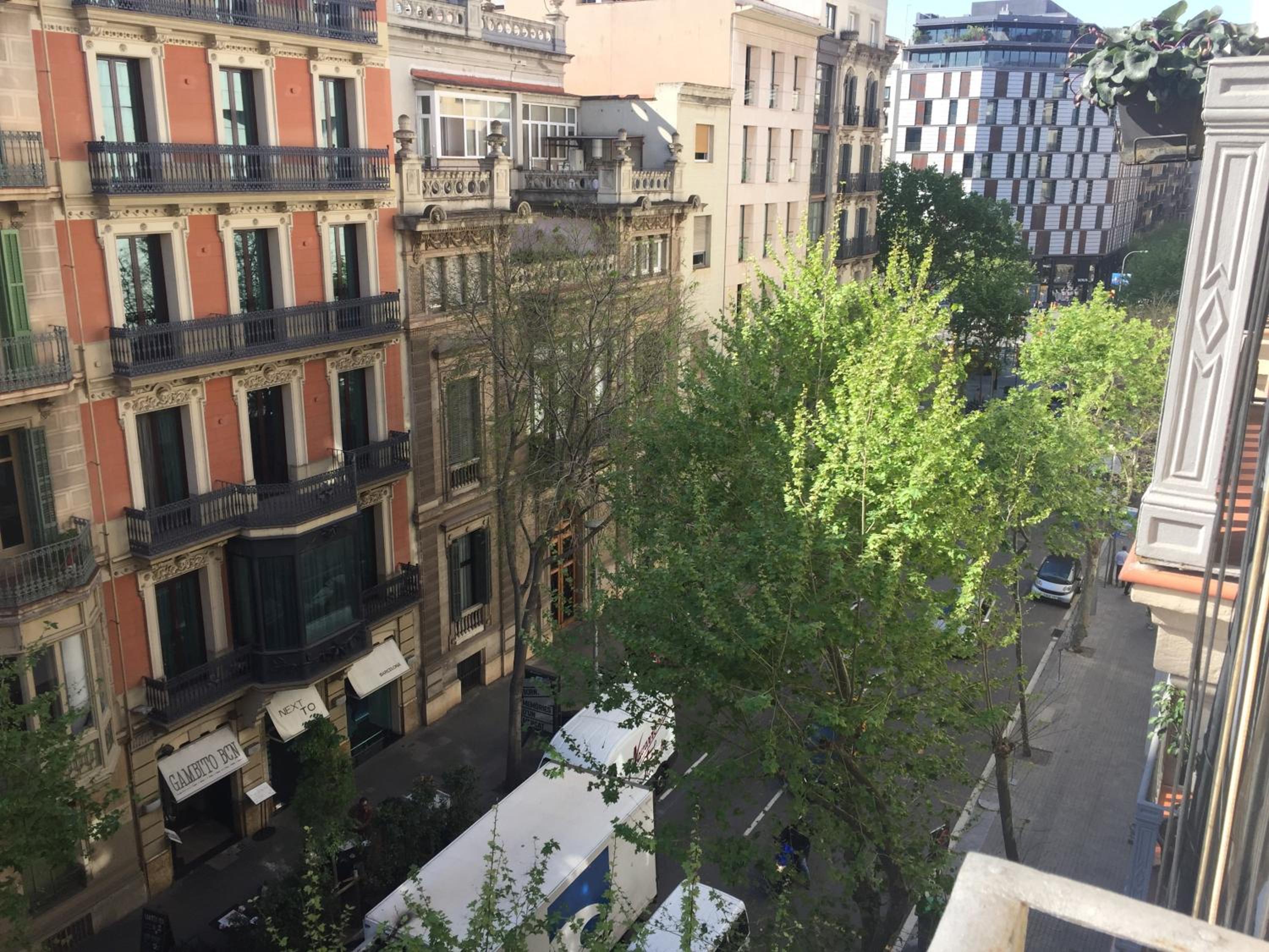 Petit Rosselló