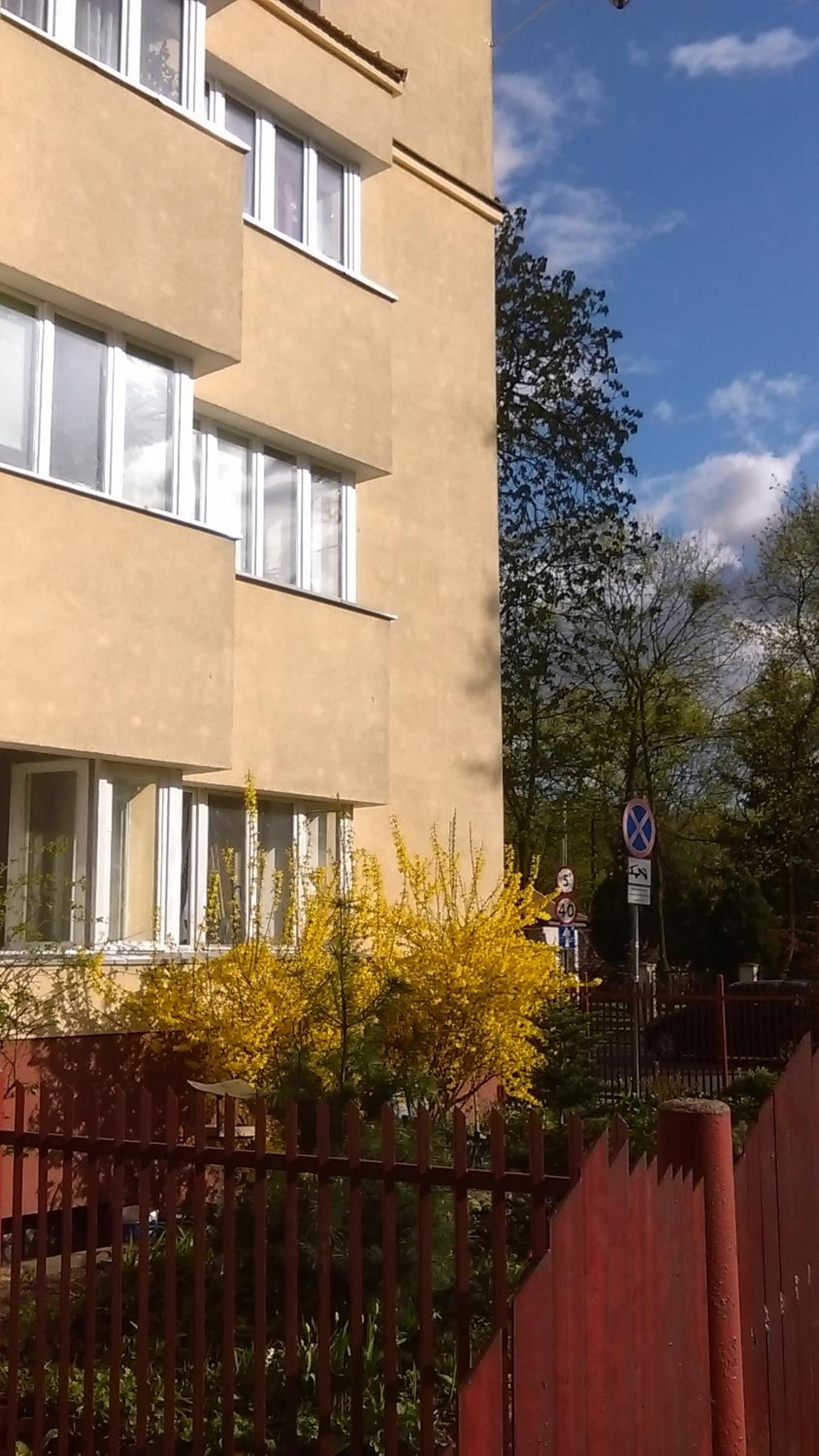 Apartament pod Piernikiem view 3