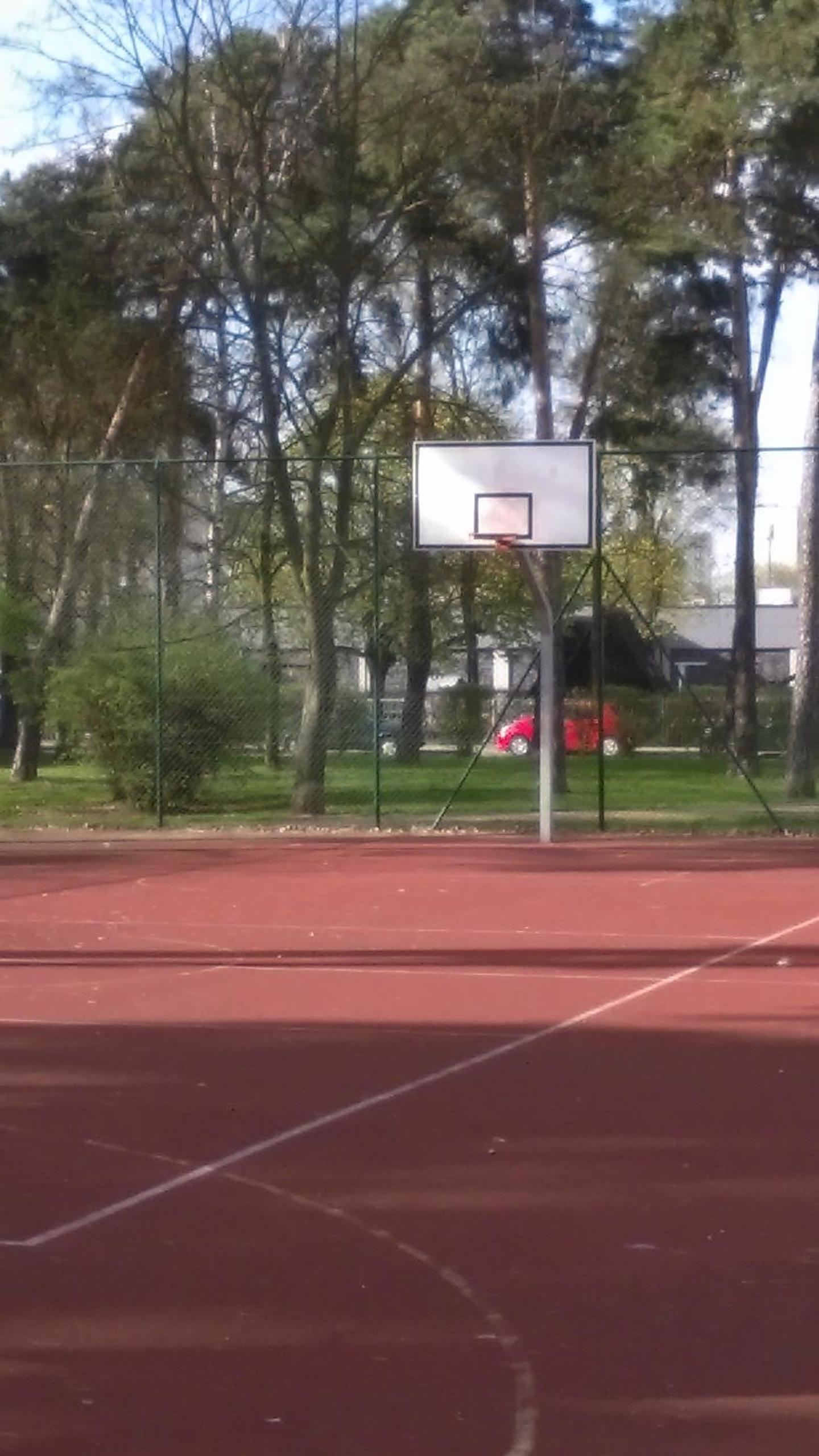 Photo 6