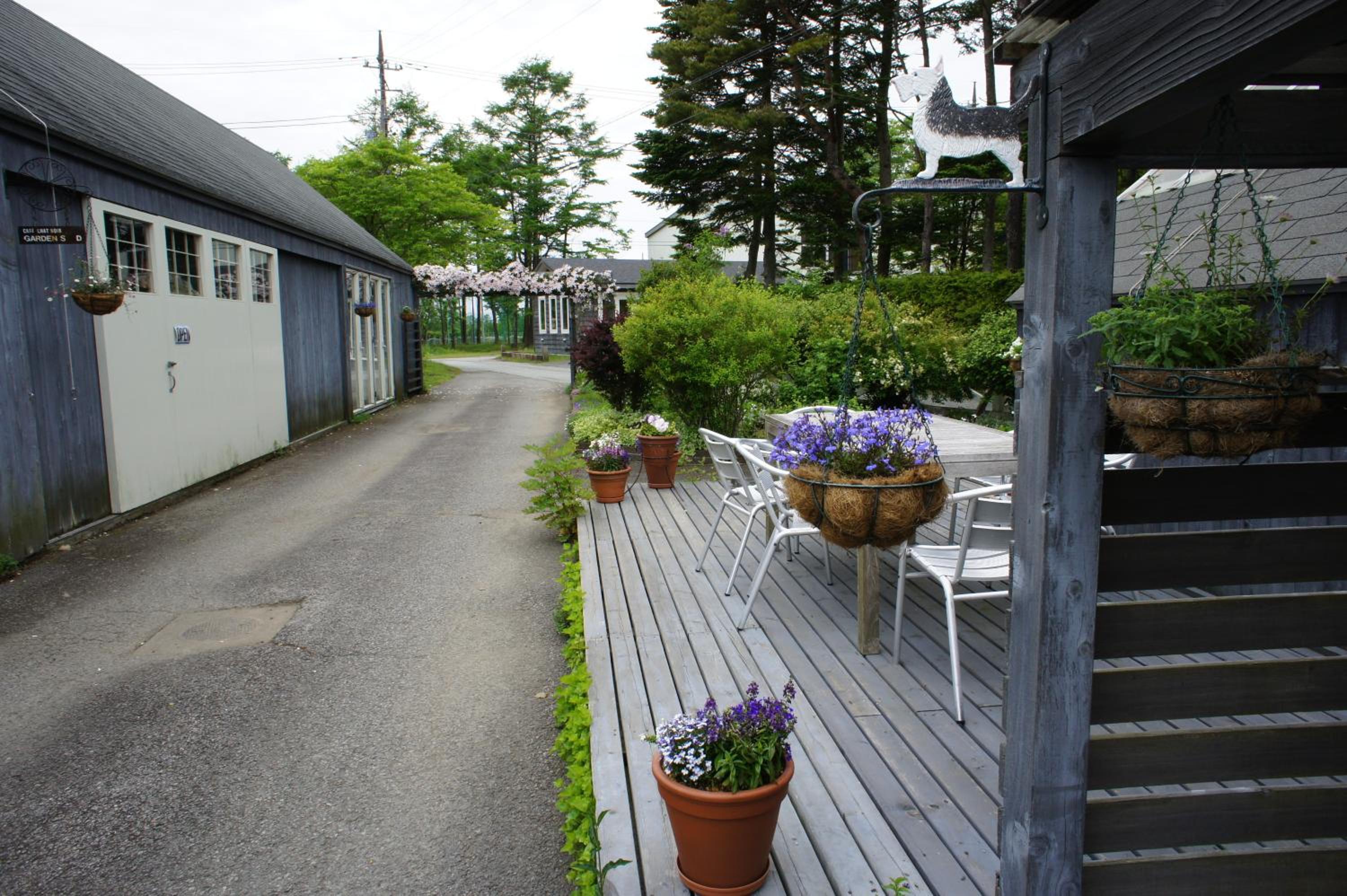 Photo 16