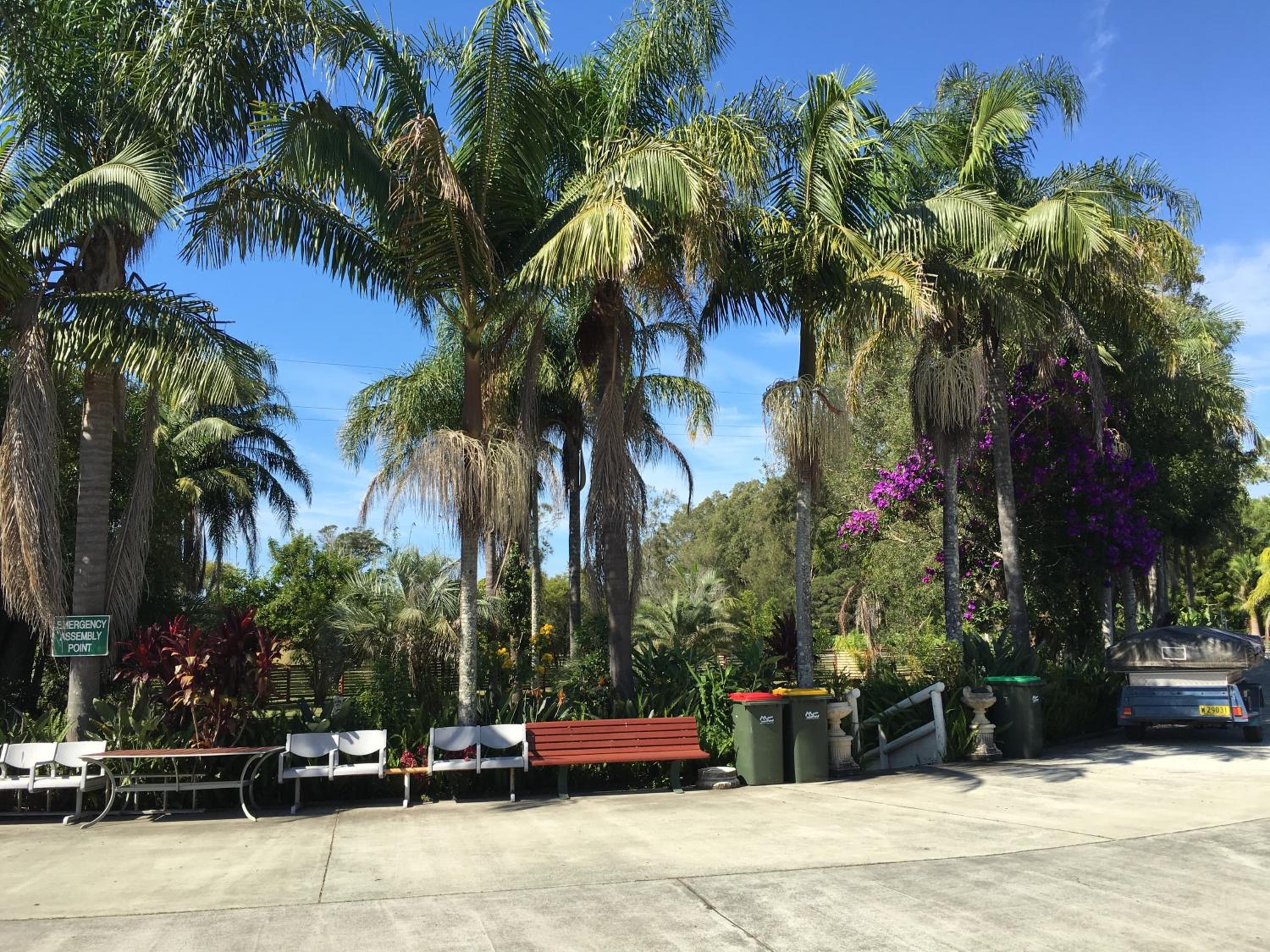 Palms Oasis Motel view 3
