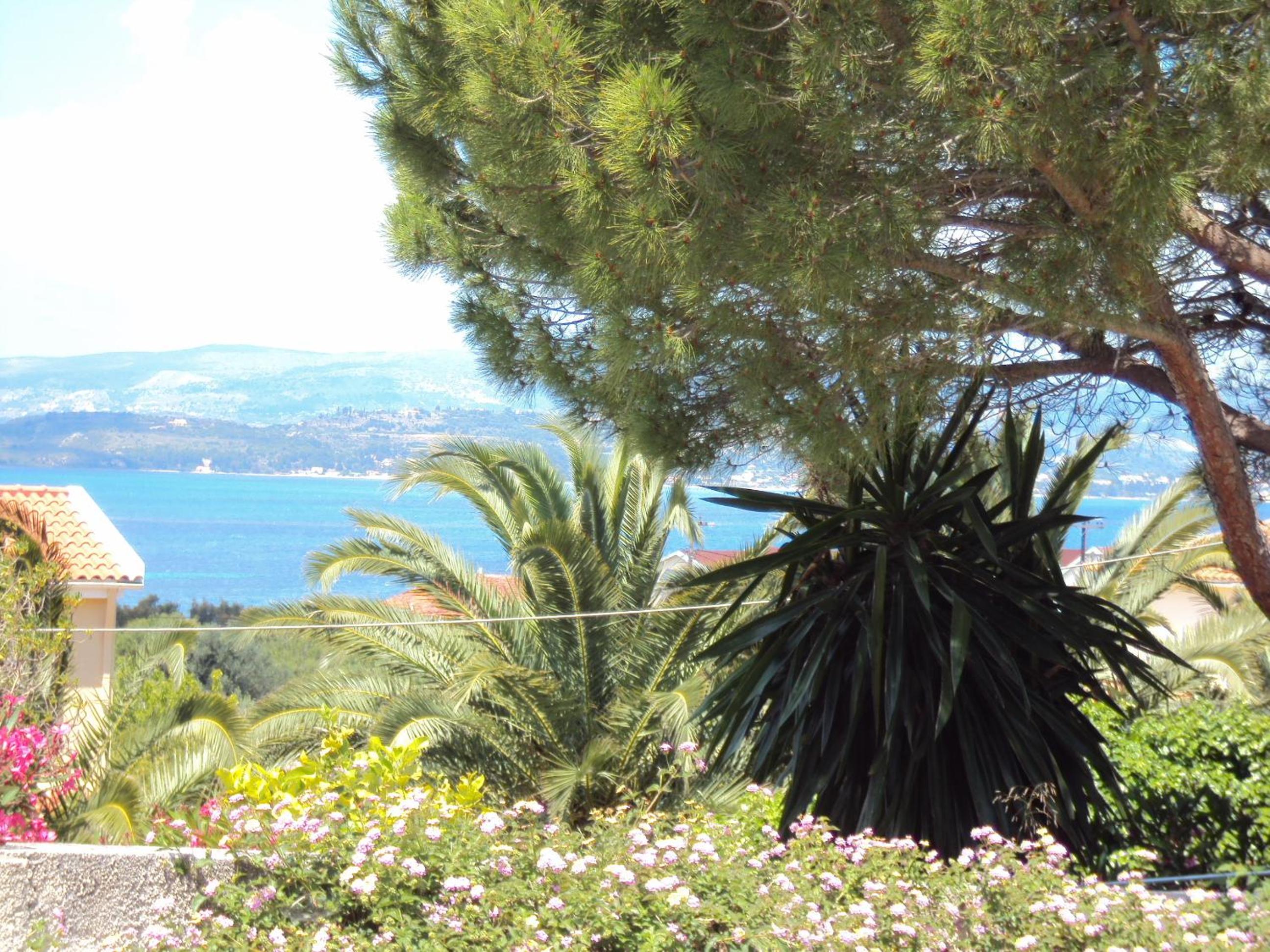 Despina Studios and Apartments photo 3