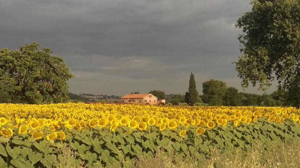 Conero Ranch