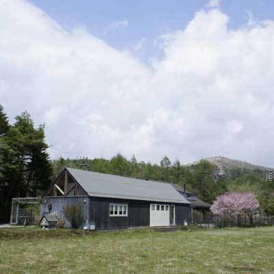 Photo 31