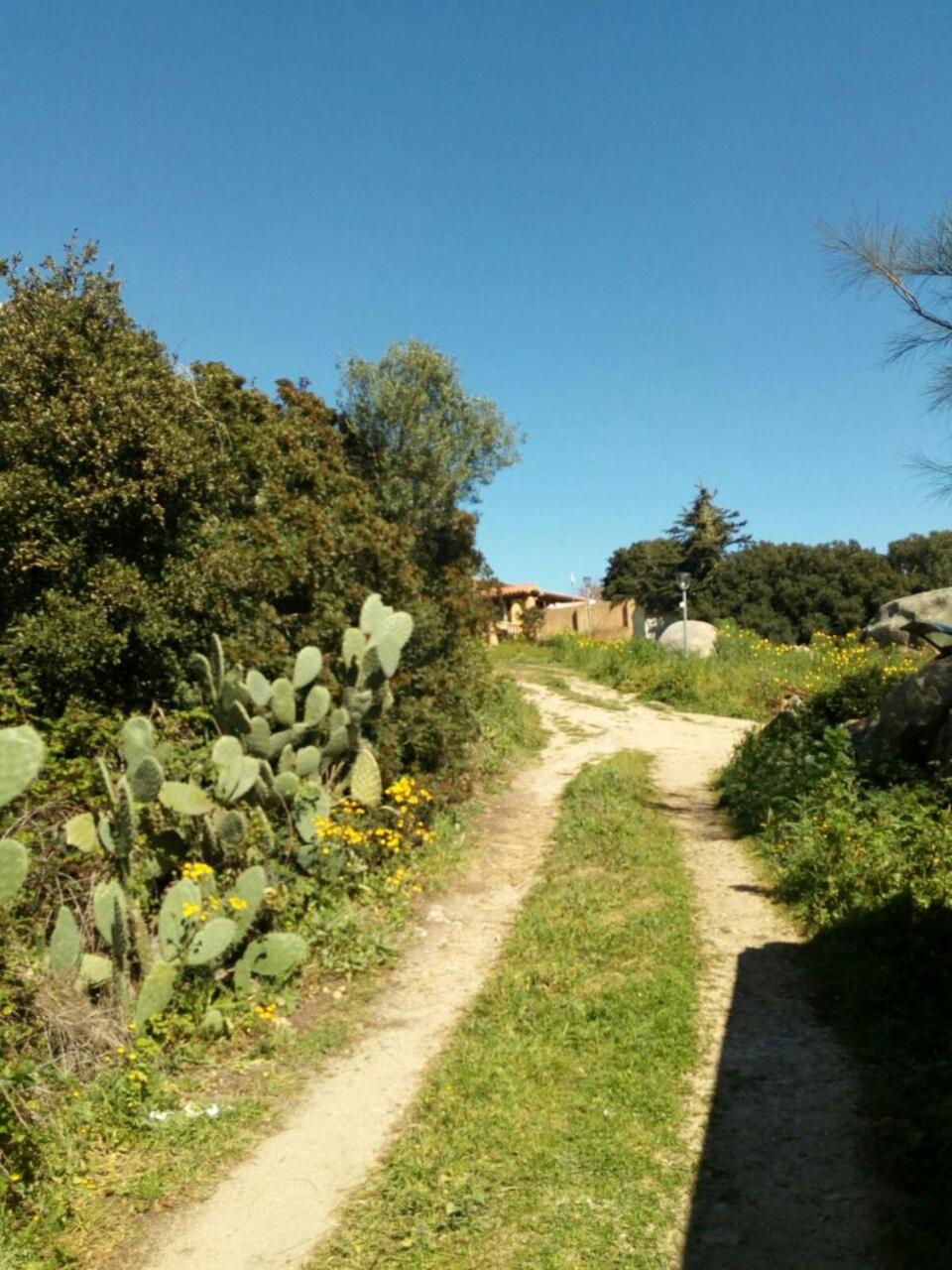 Photo 25