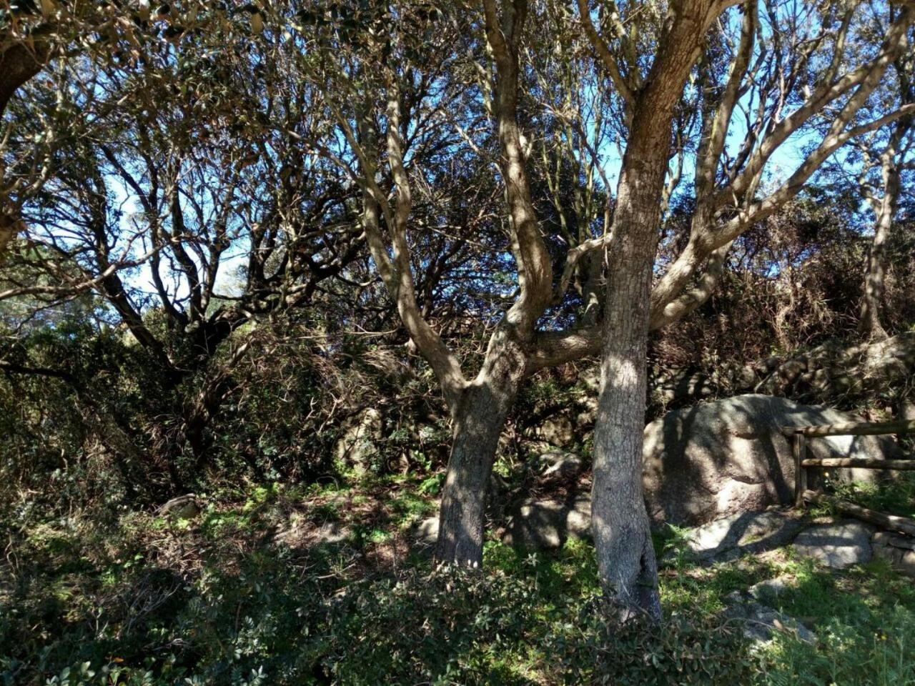 Photo 22