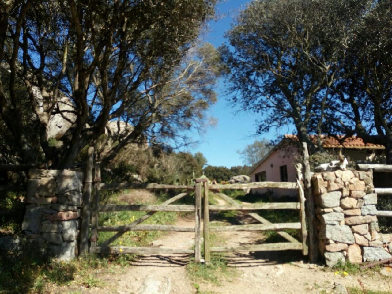 Eucaliptus Farm Retreat view 2