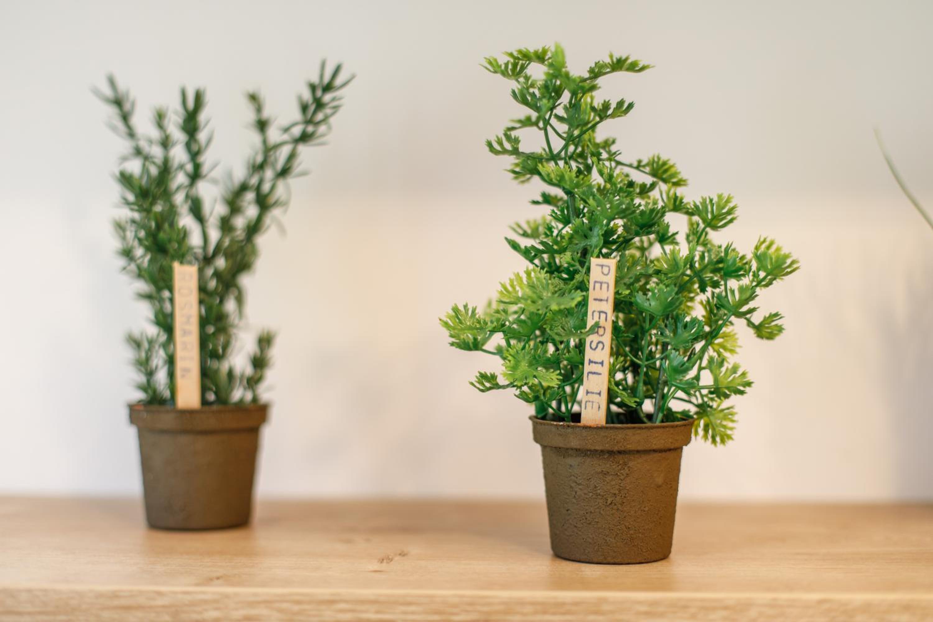 Photo 125