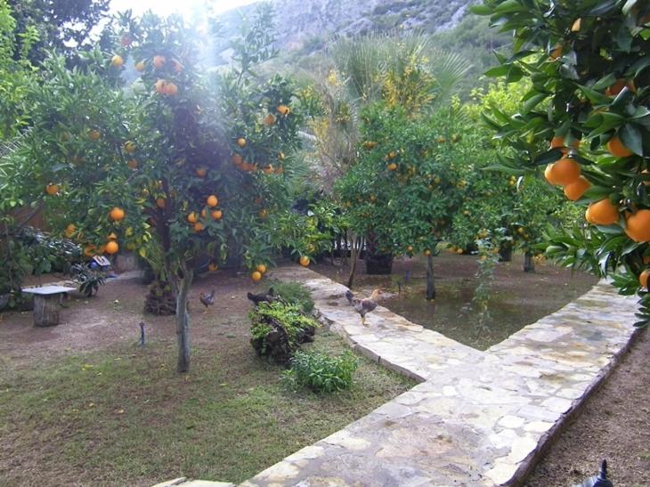 Photo 42