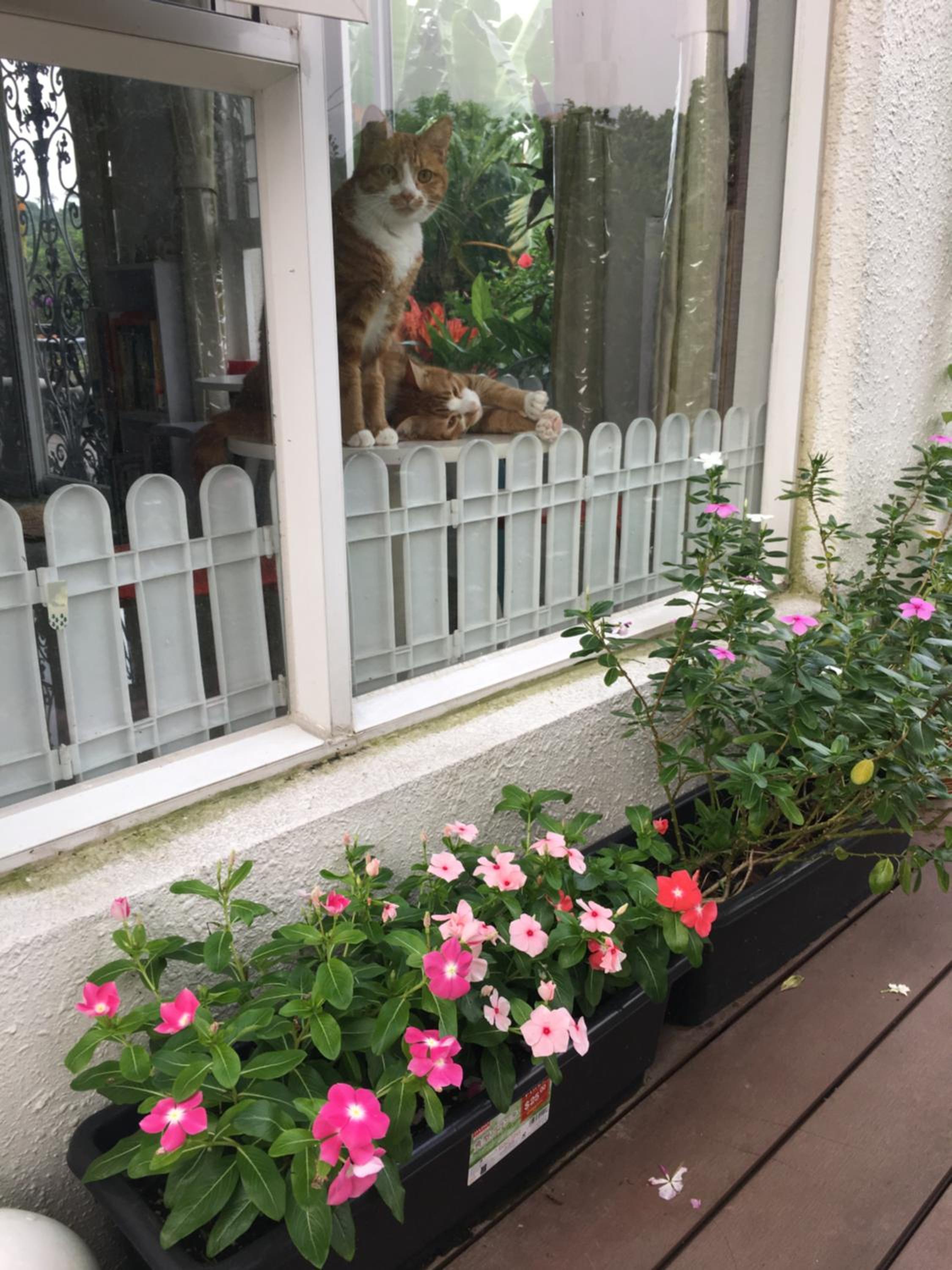 City Oasis Guesthouse