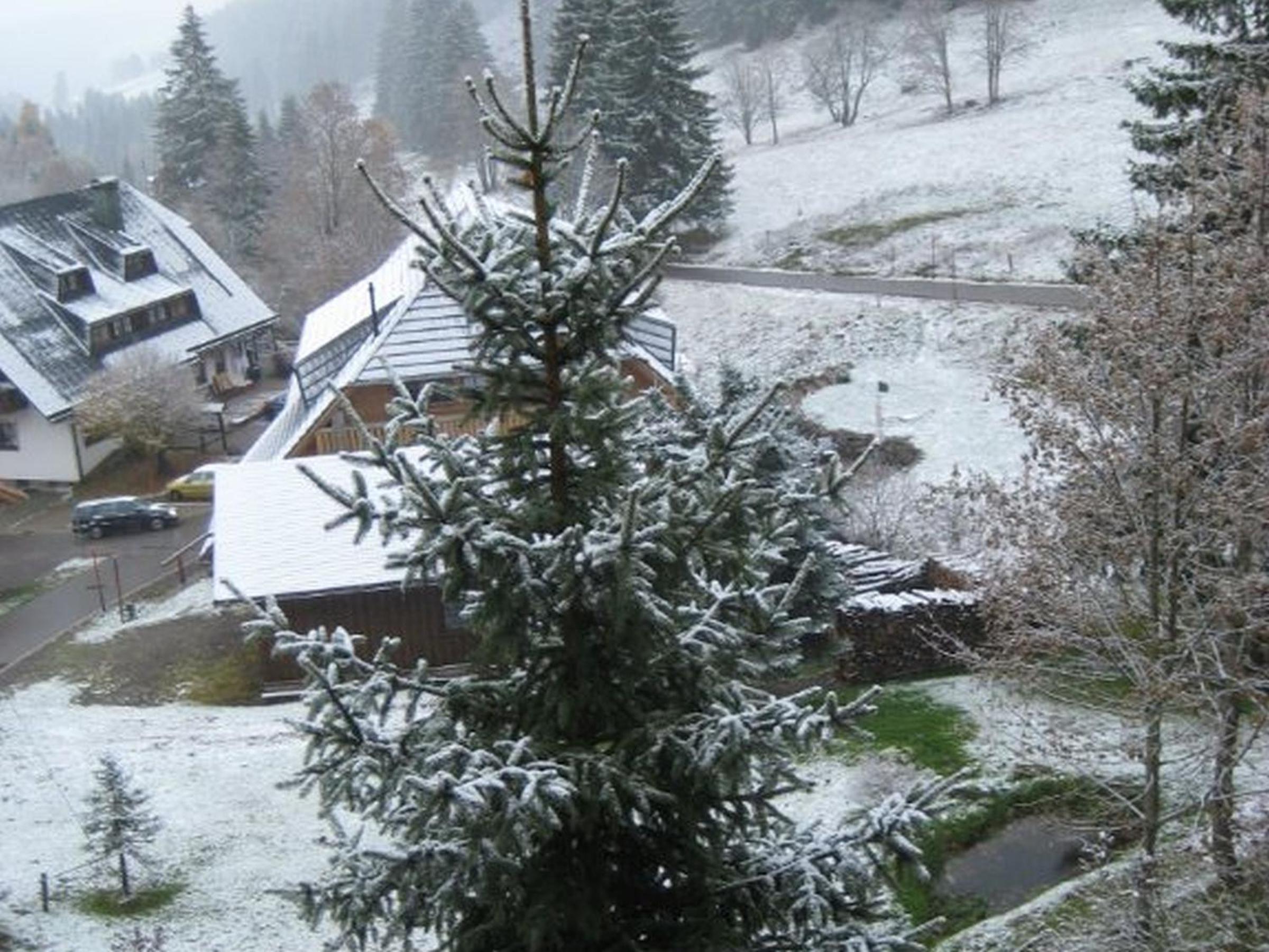 Ferienhaus Isele view 5