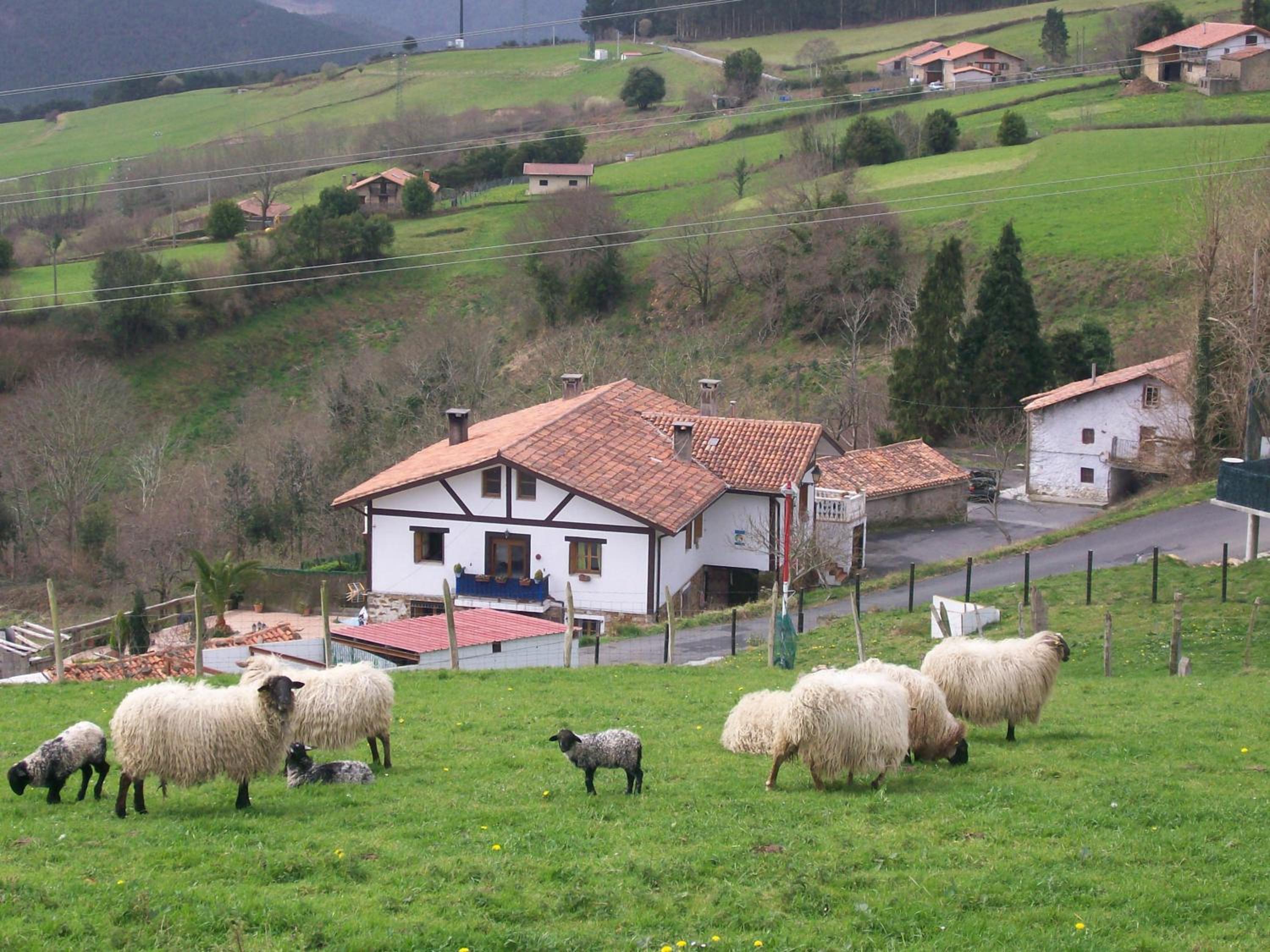 Agroturismo Kasa Barri view 3