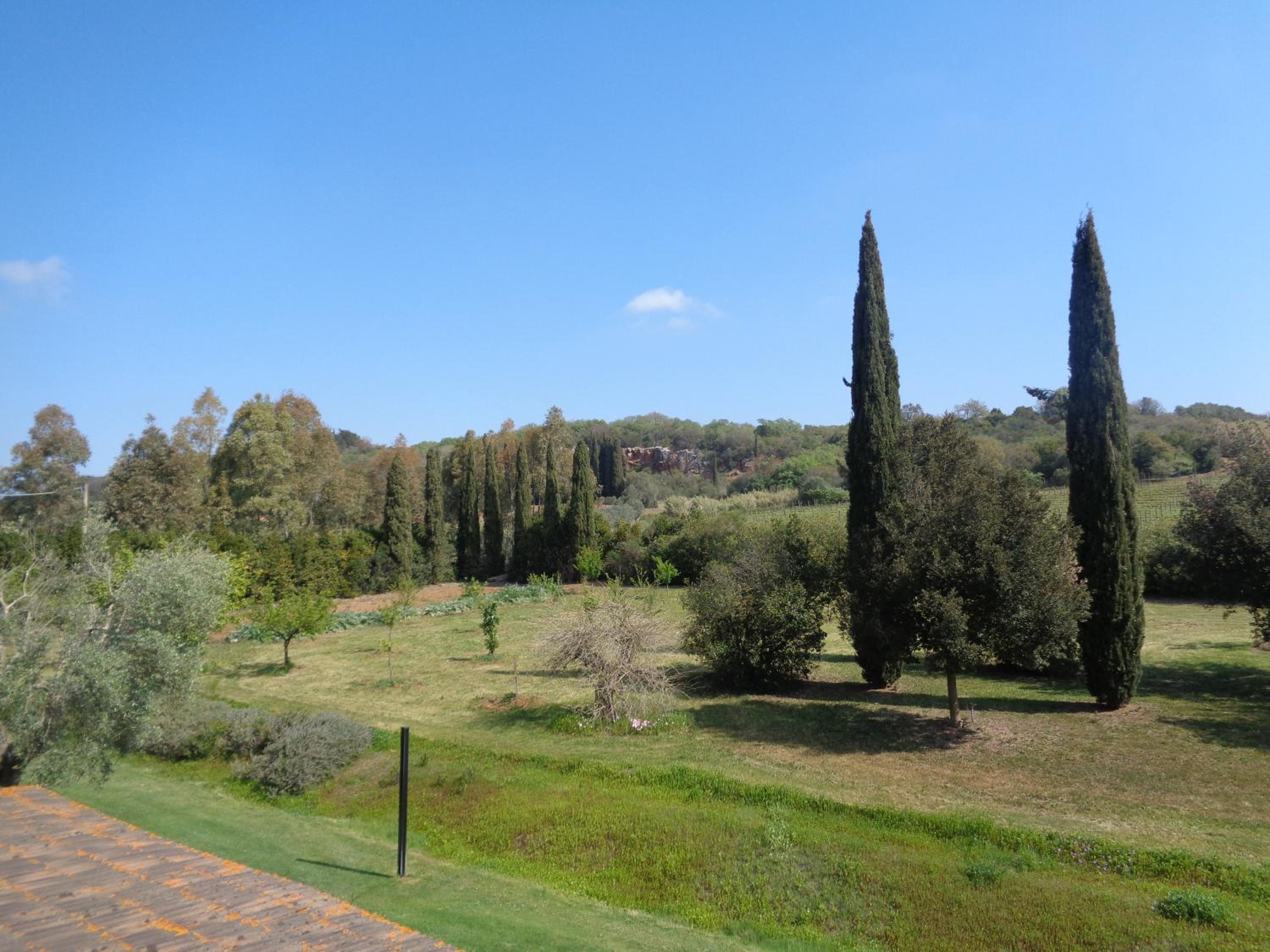 Agriturismo Podere Sant' Antonio view 2