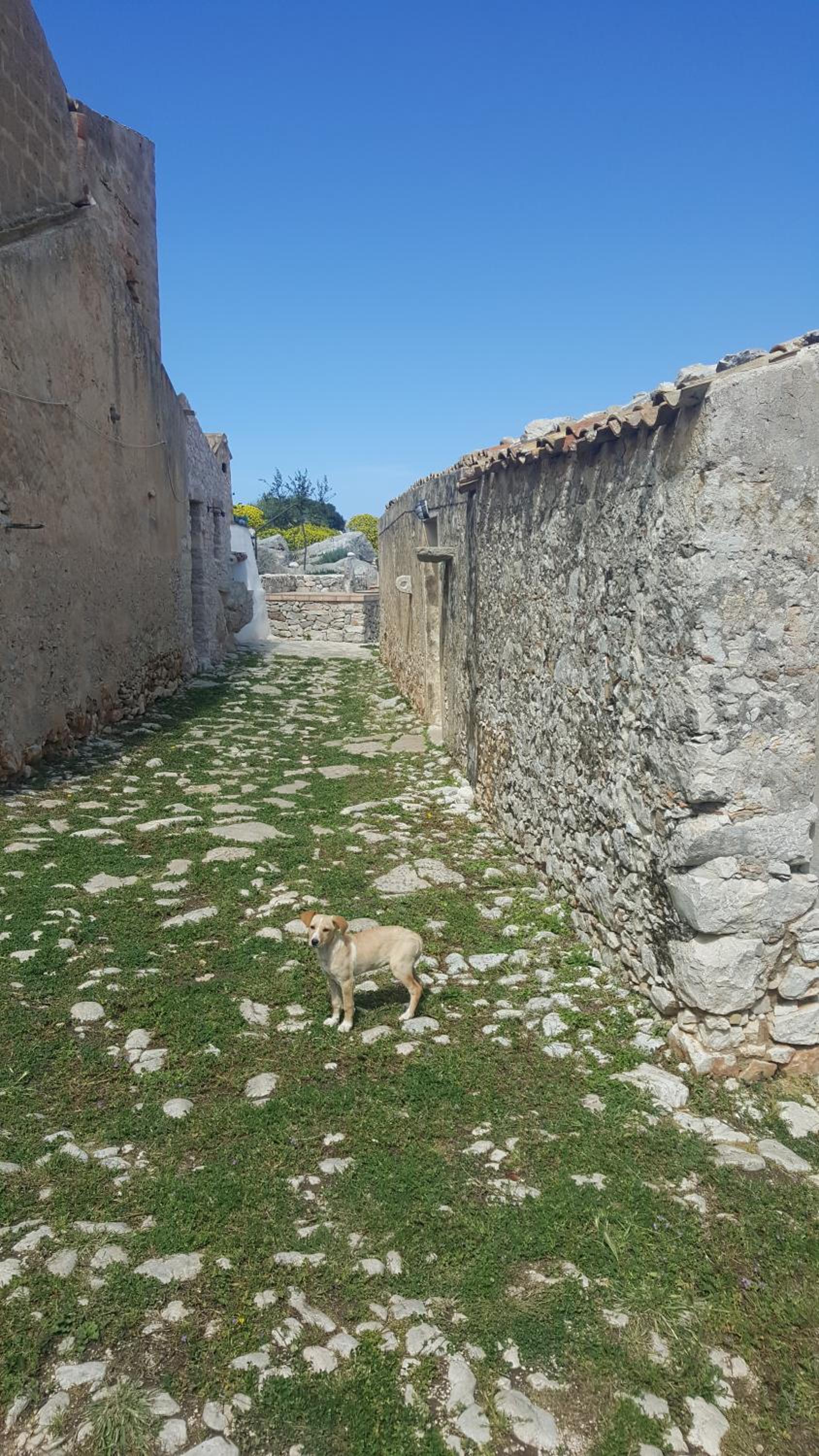 Vecchio Baglio Cofano
