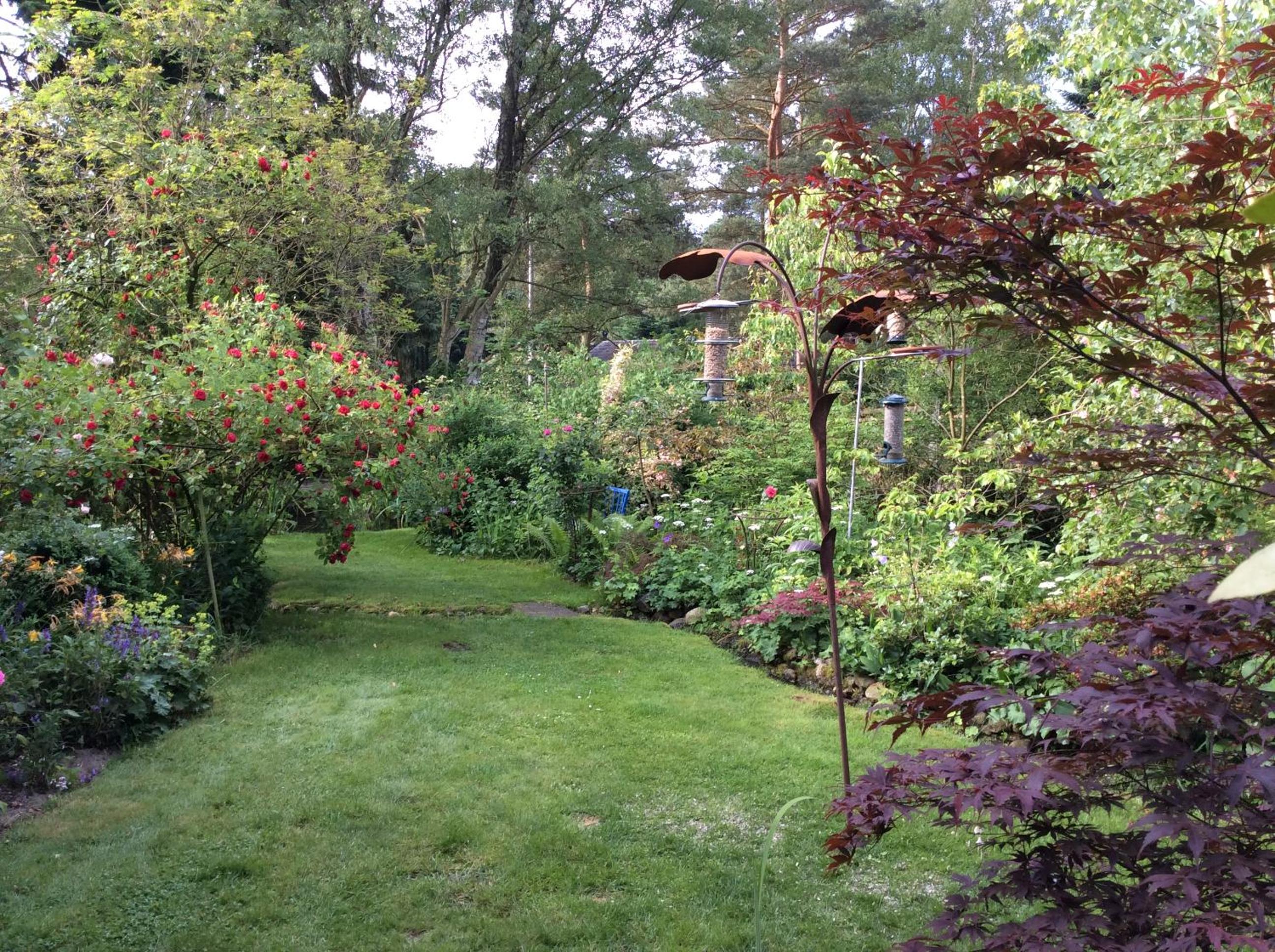 Photo 12