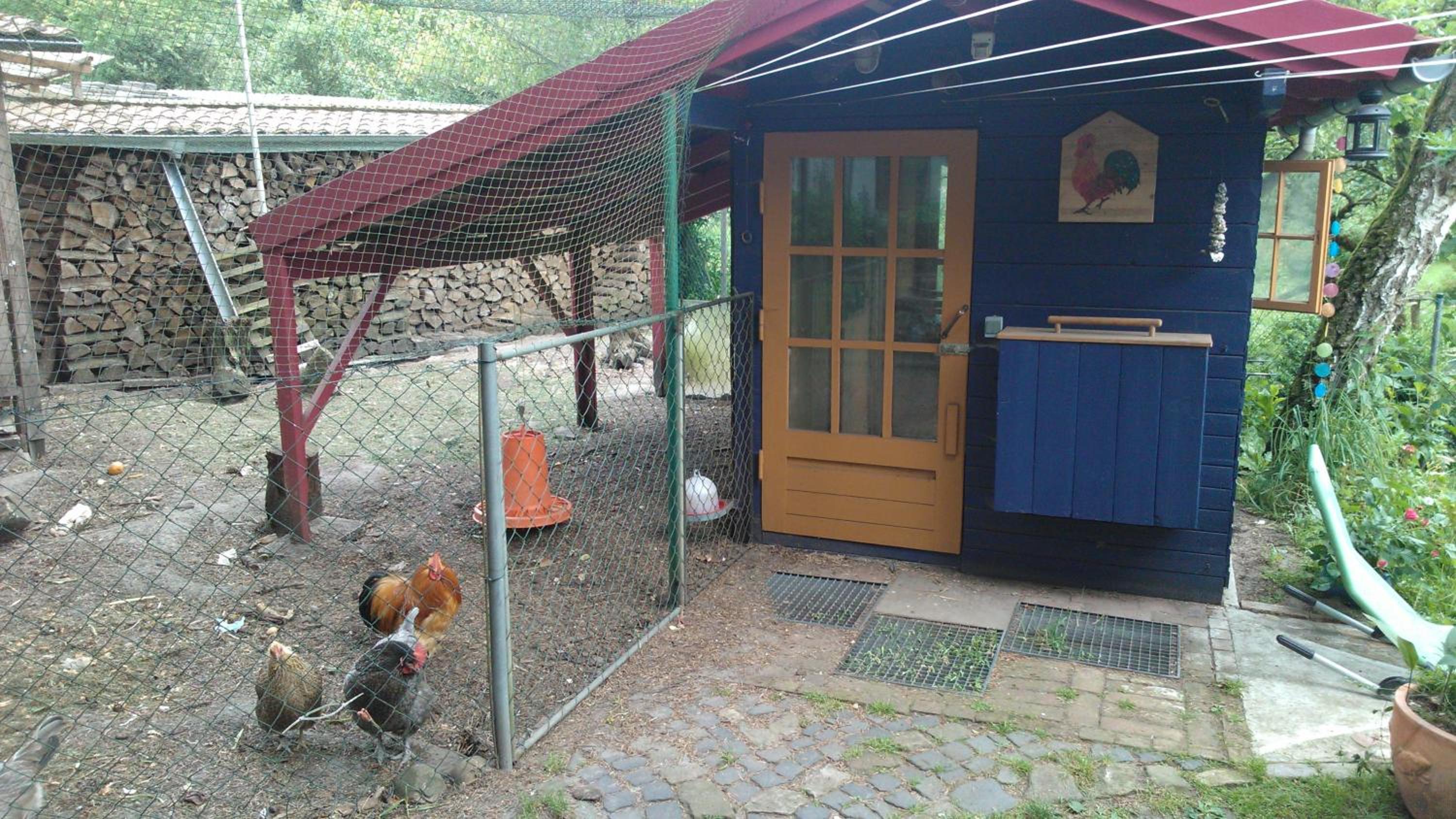 Photo 10