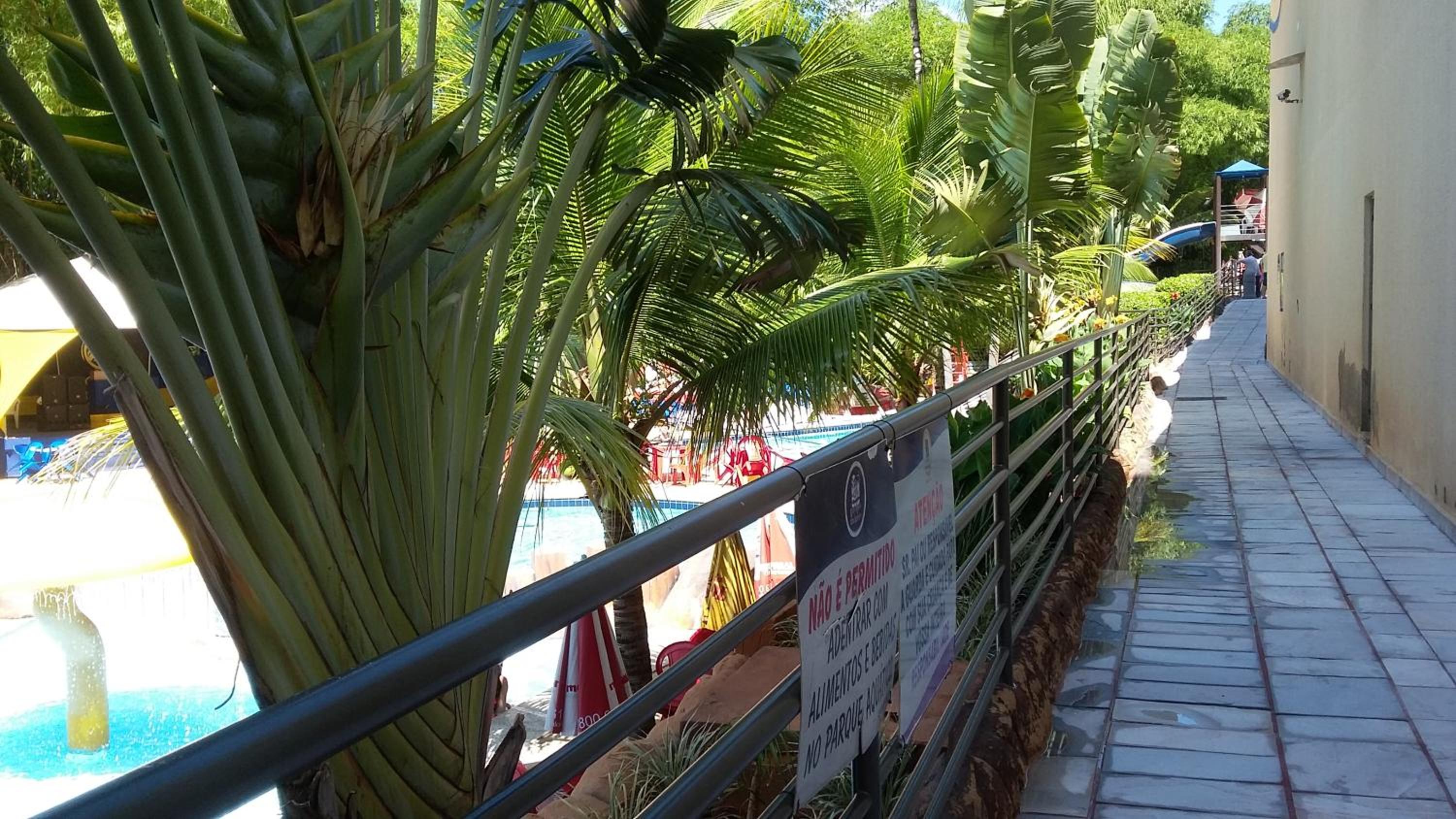 Golden Dolphin Grand Hotel via Hmaster