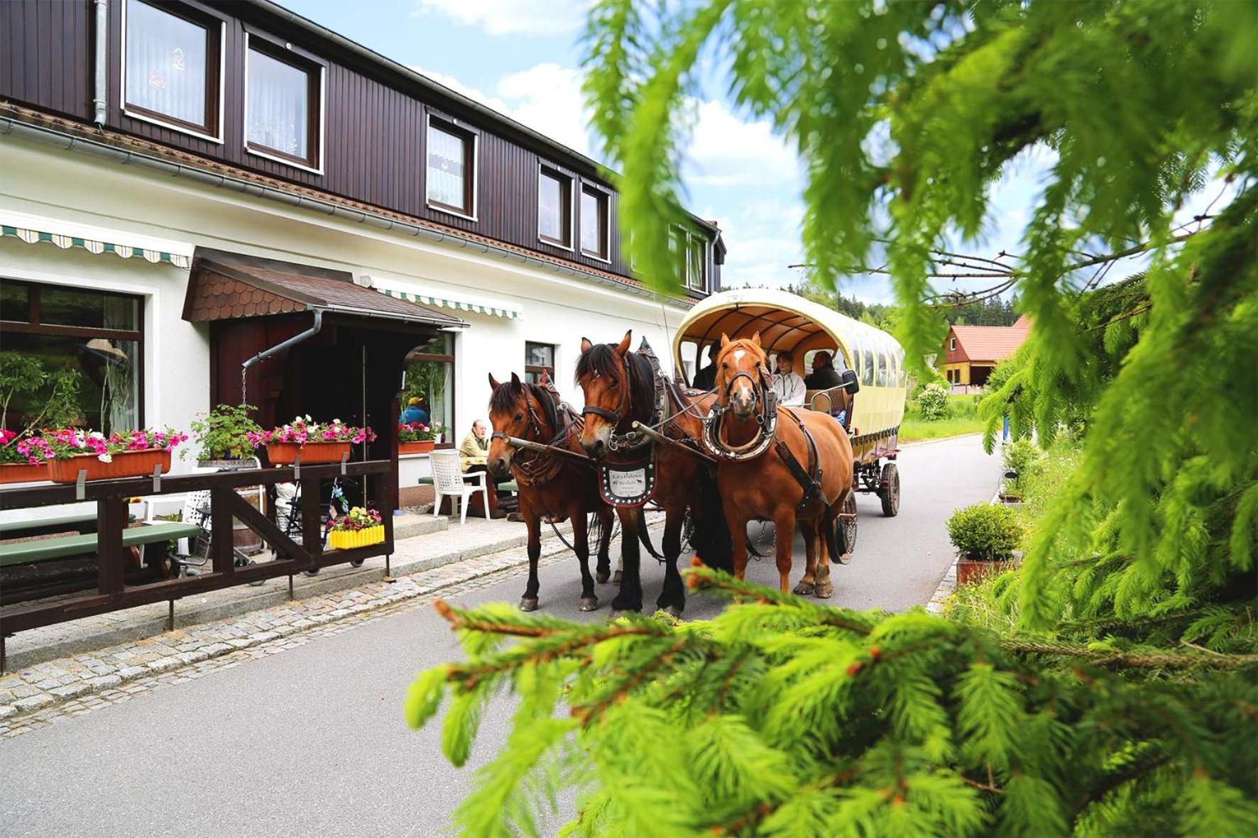 Gaststätte & Pension Waldquell