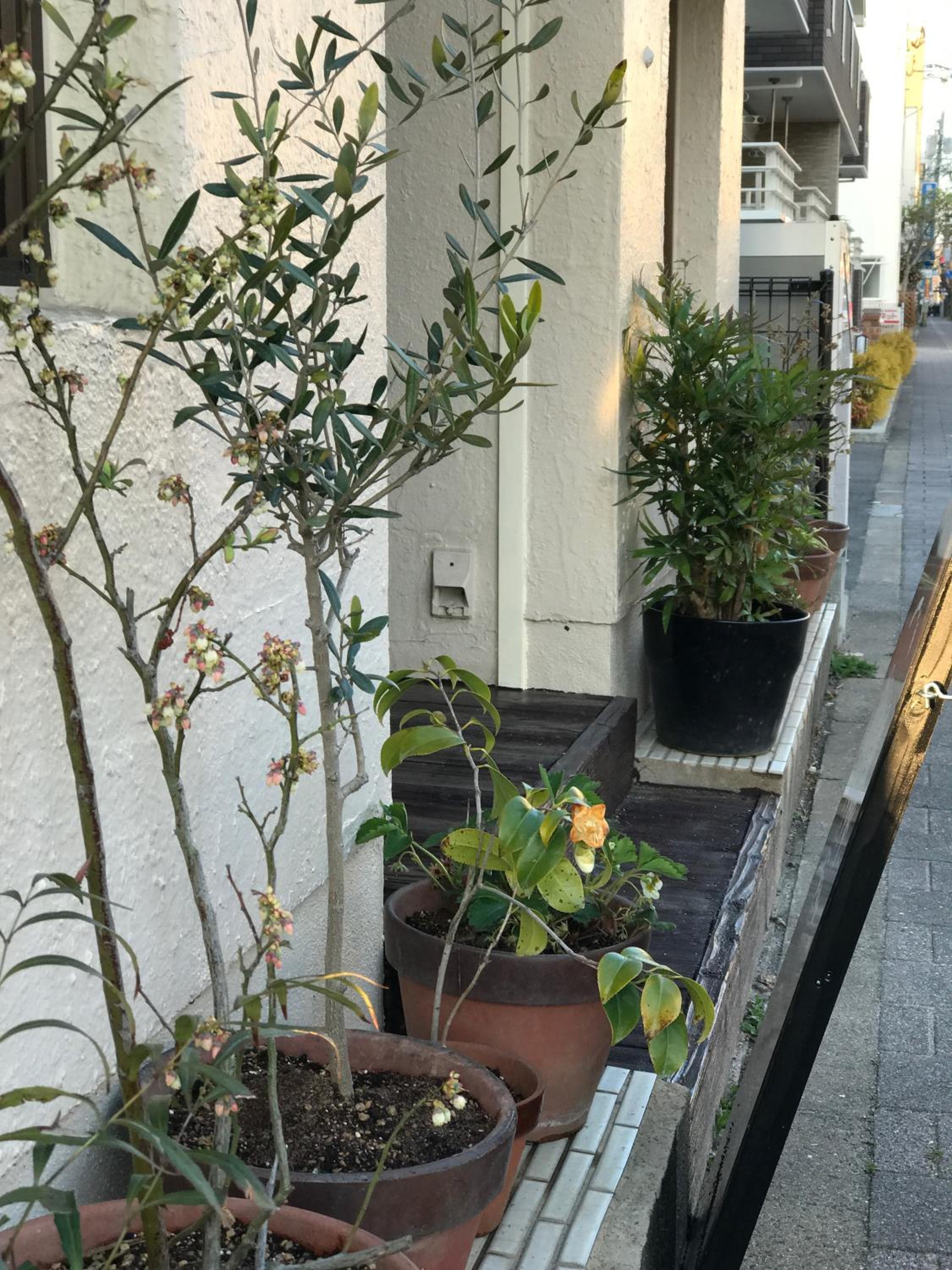 Saga International Guesthouse Hagakure
