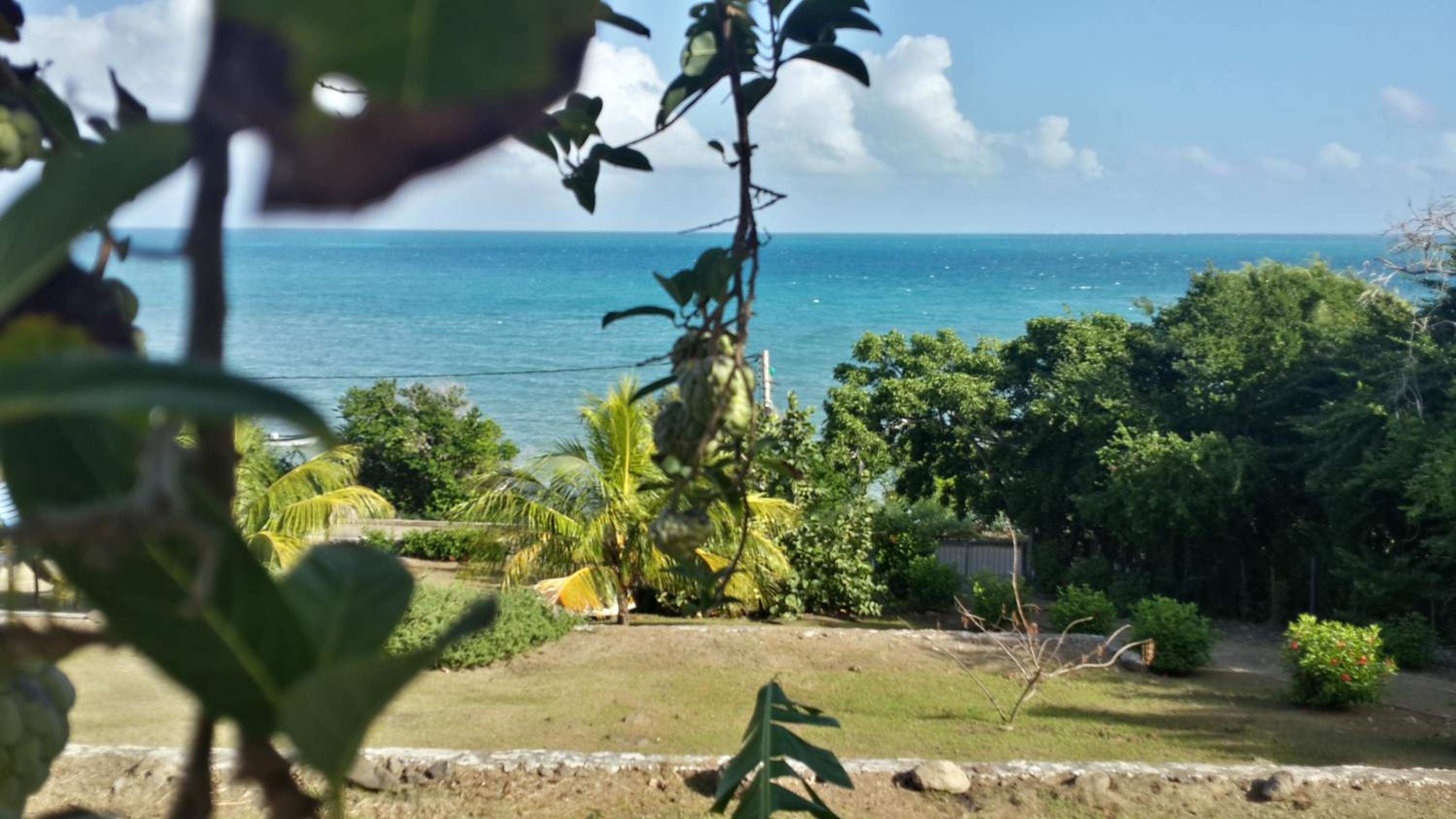 Maracaibo View